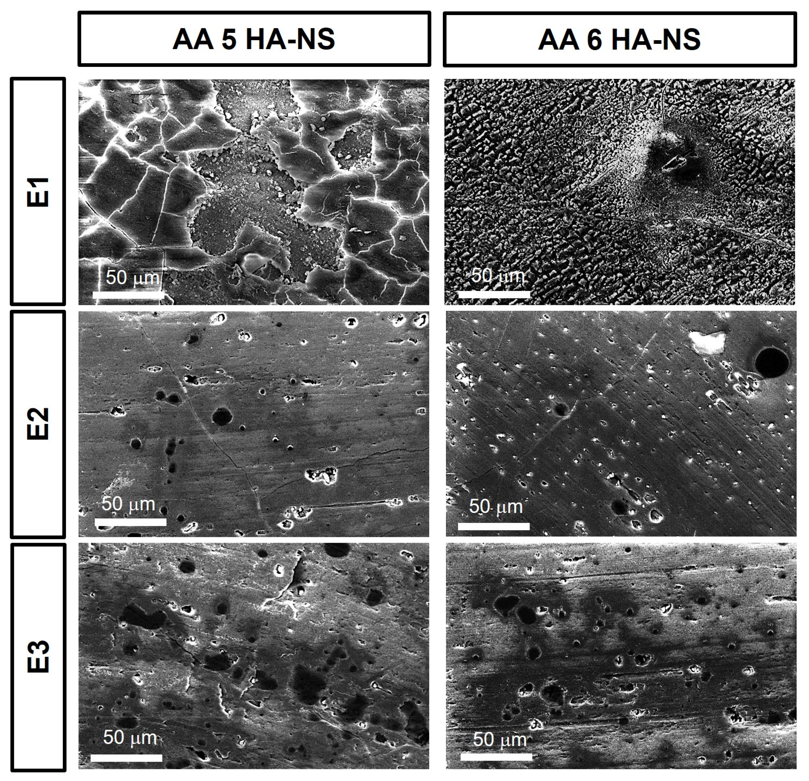Coatings 14 00240 g010