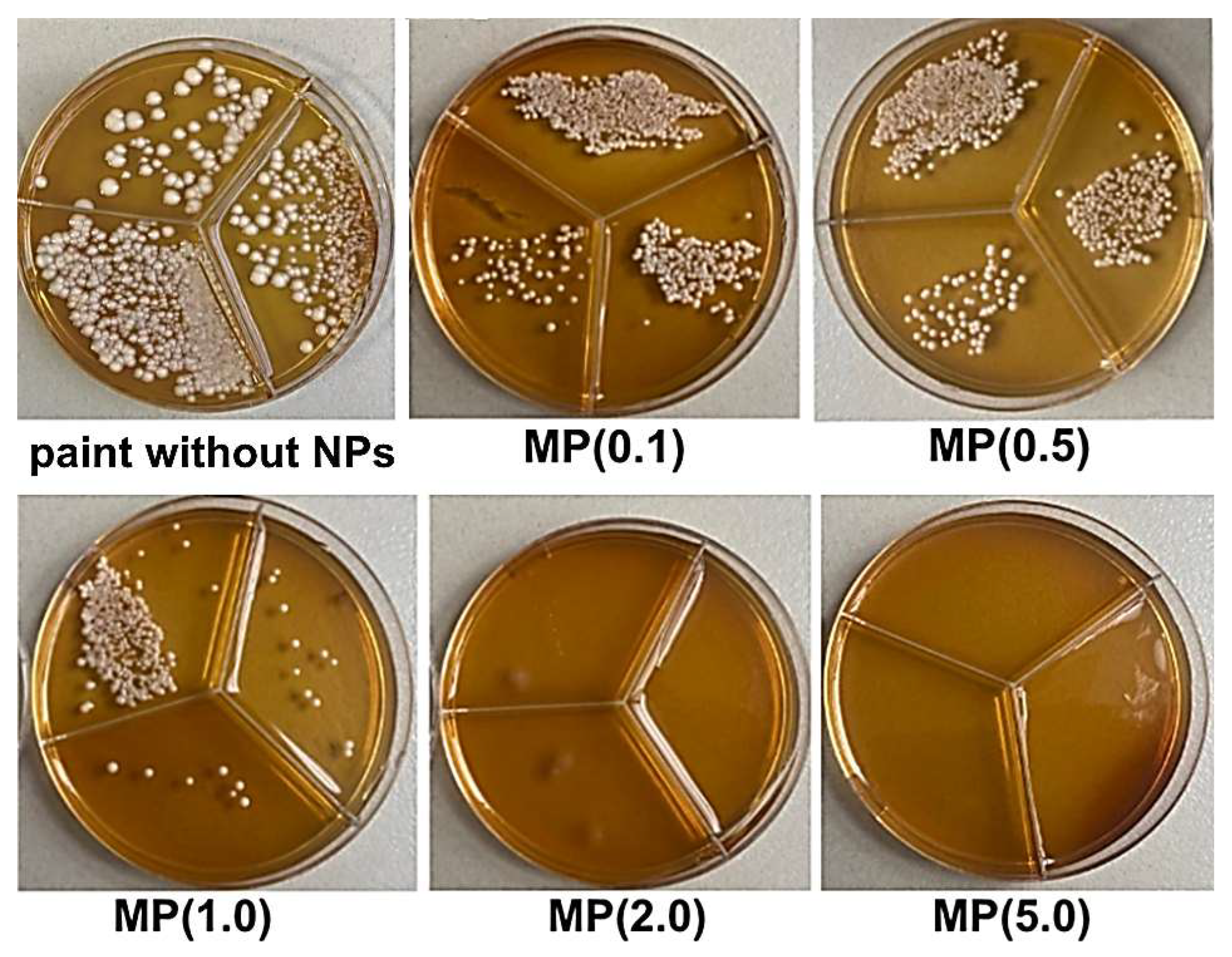 Coatings 14 00241 g010