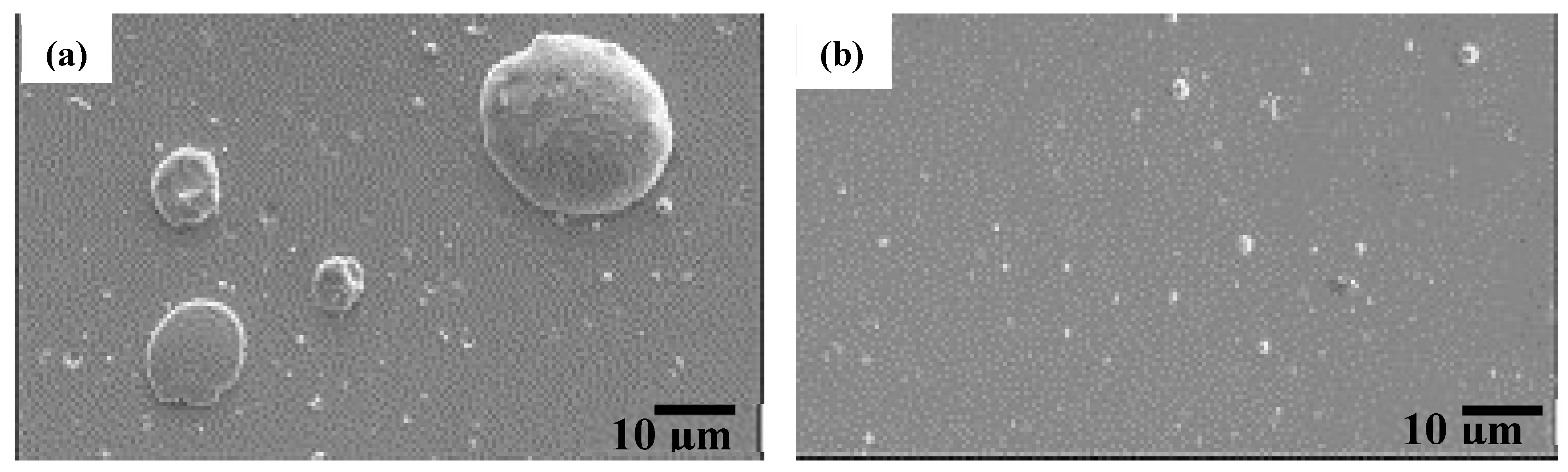 Coatings 14 00246 g013