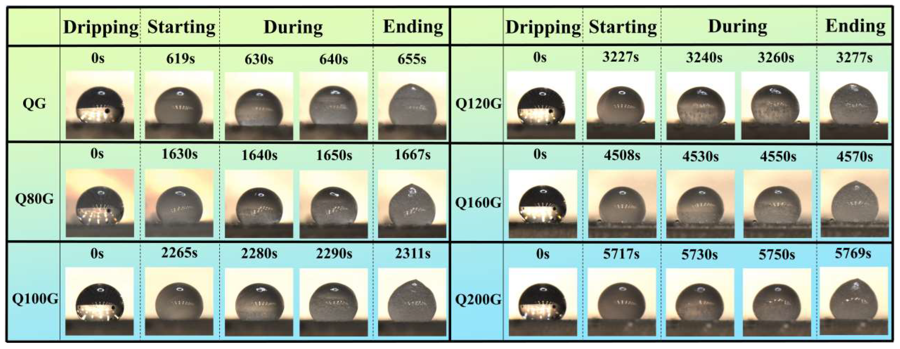 Coatings 14 00247 g006