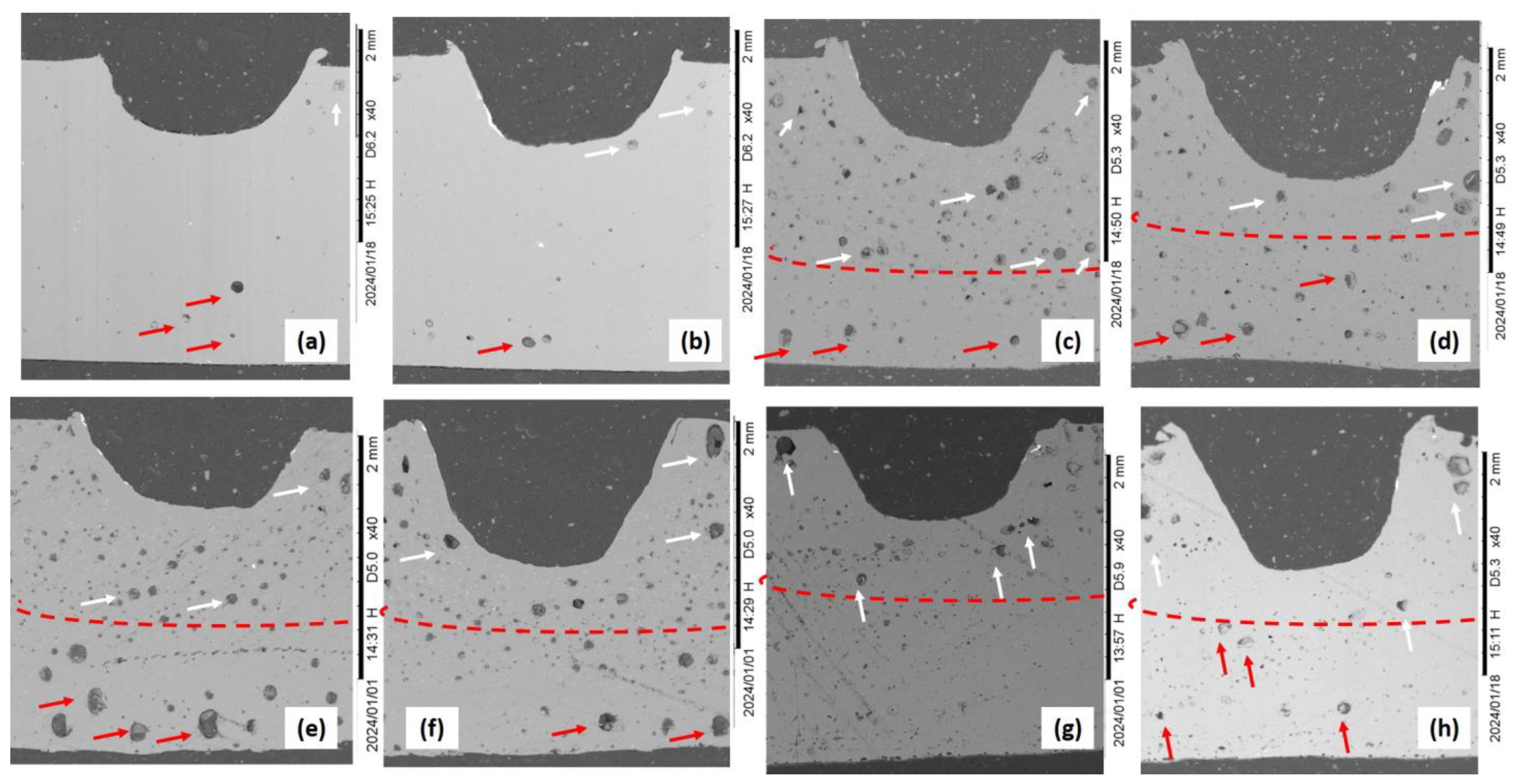 Coatings 14 00252 g009