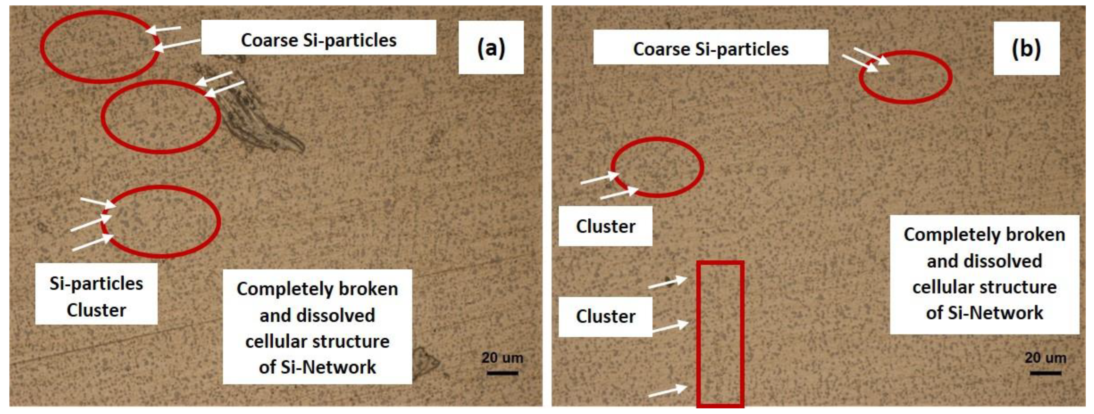 Coatings 14 00252 g010