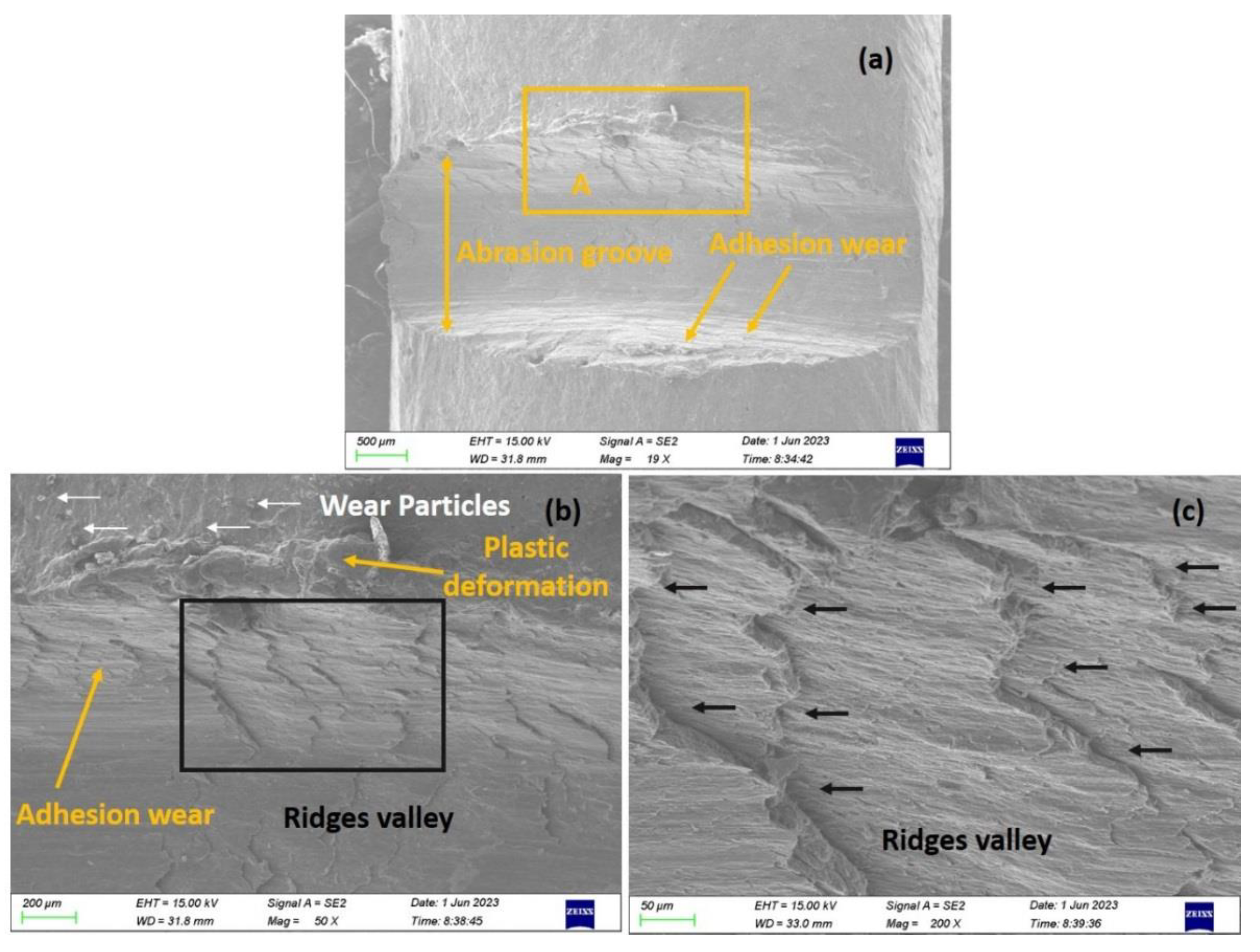 Coatings 14 00252 g012a