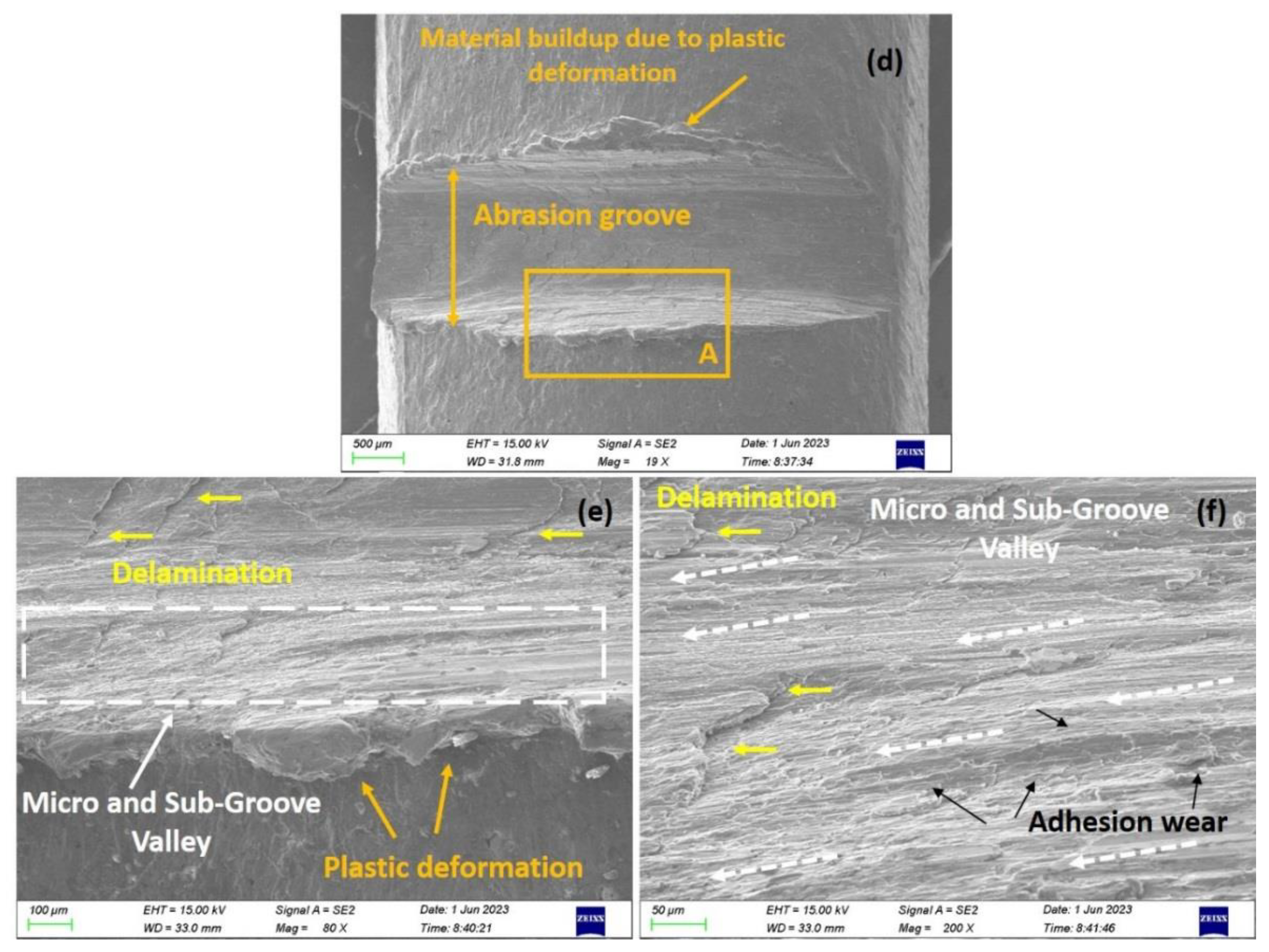 Coatings 14 00252 g012b