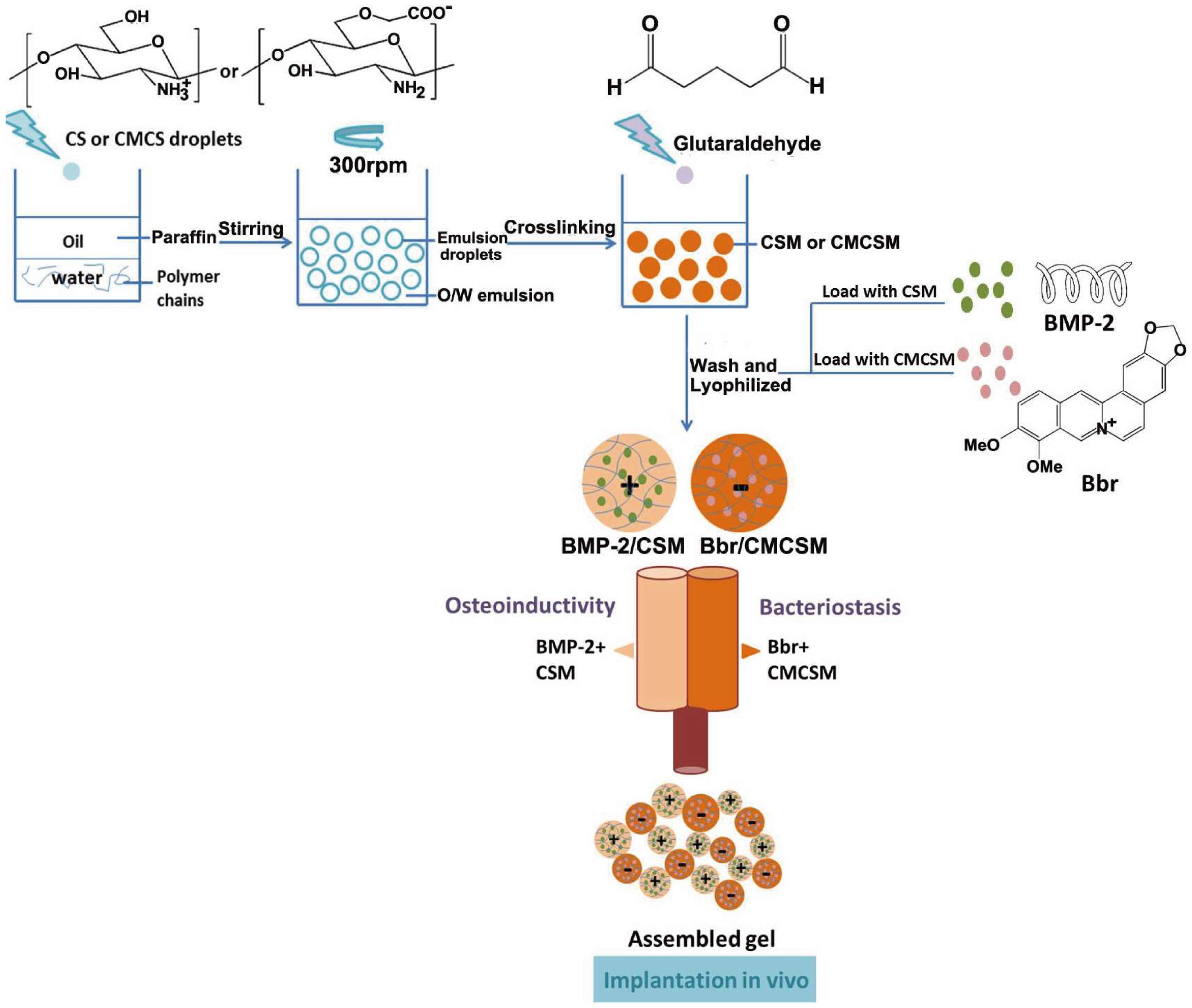 Coatings 14 00254 g001
