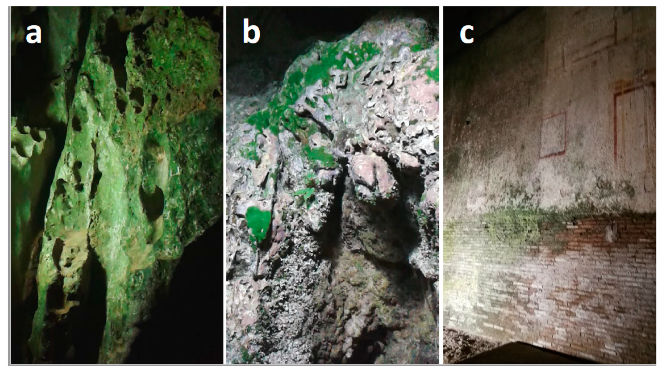 Coatings 14 00272 g002