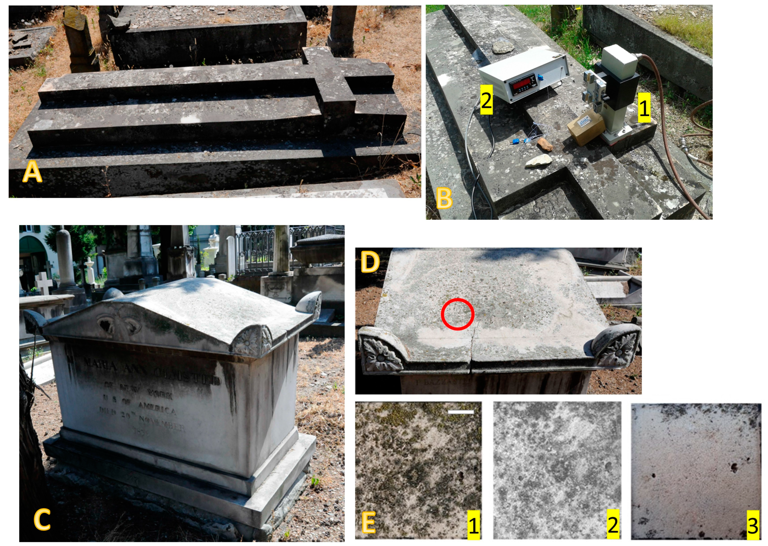 Coatings 14 00272 g003