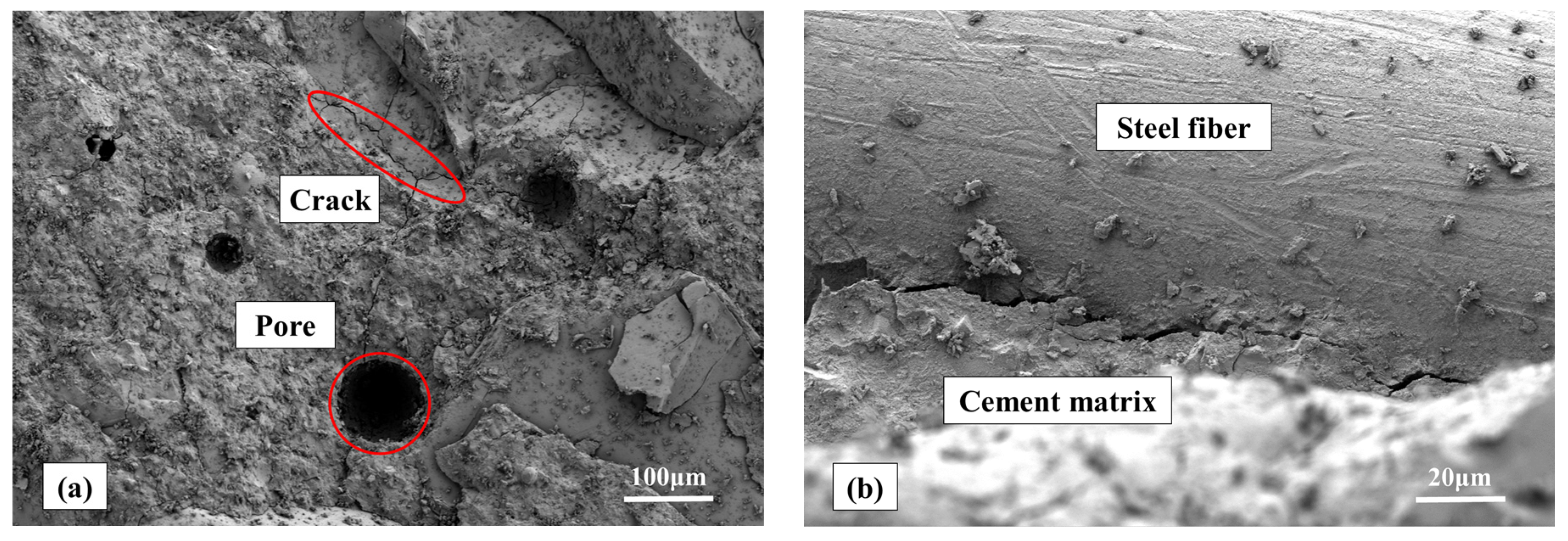 Coatings 14 00274 g020a