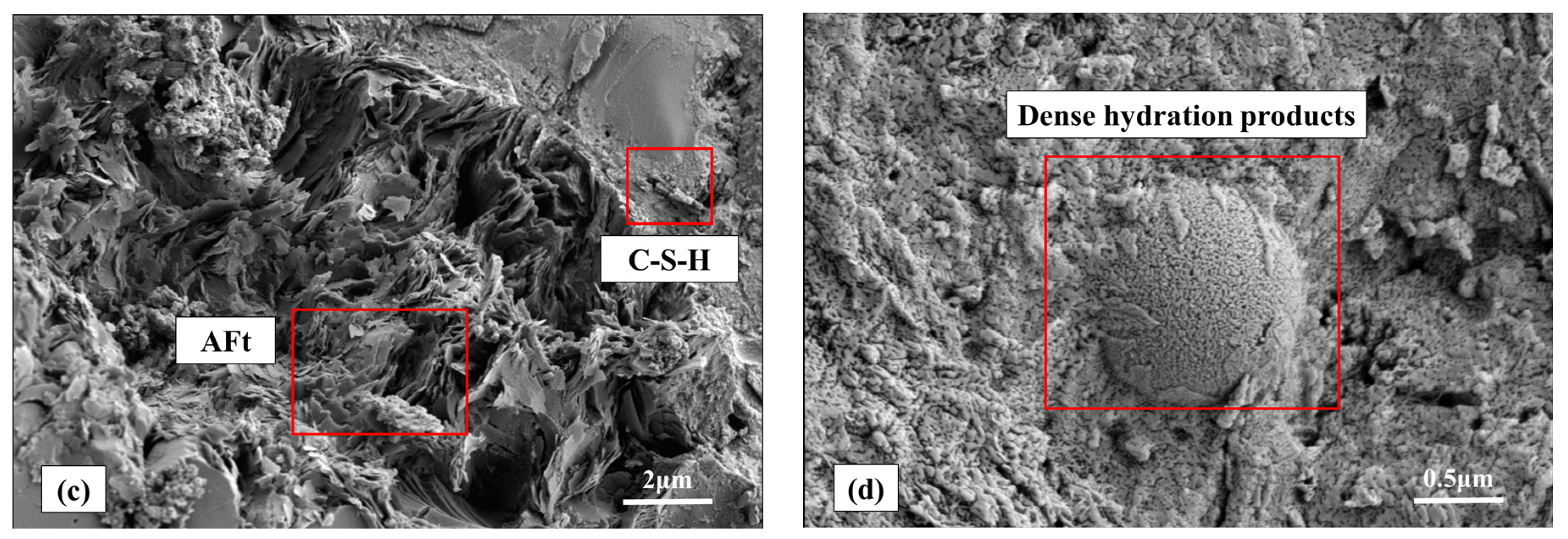 Coatings 14 00274 g020b