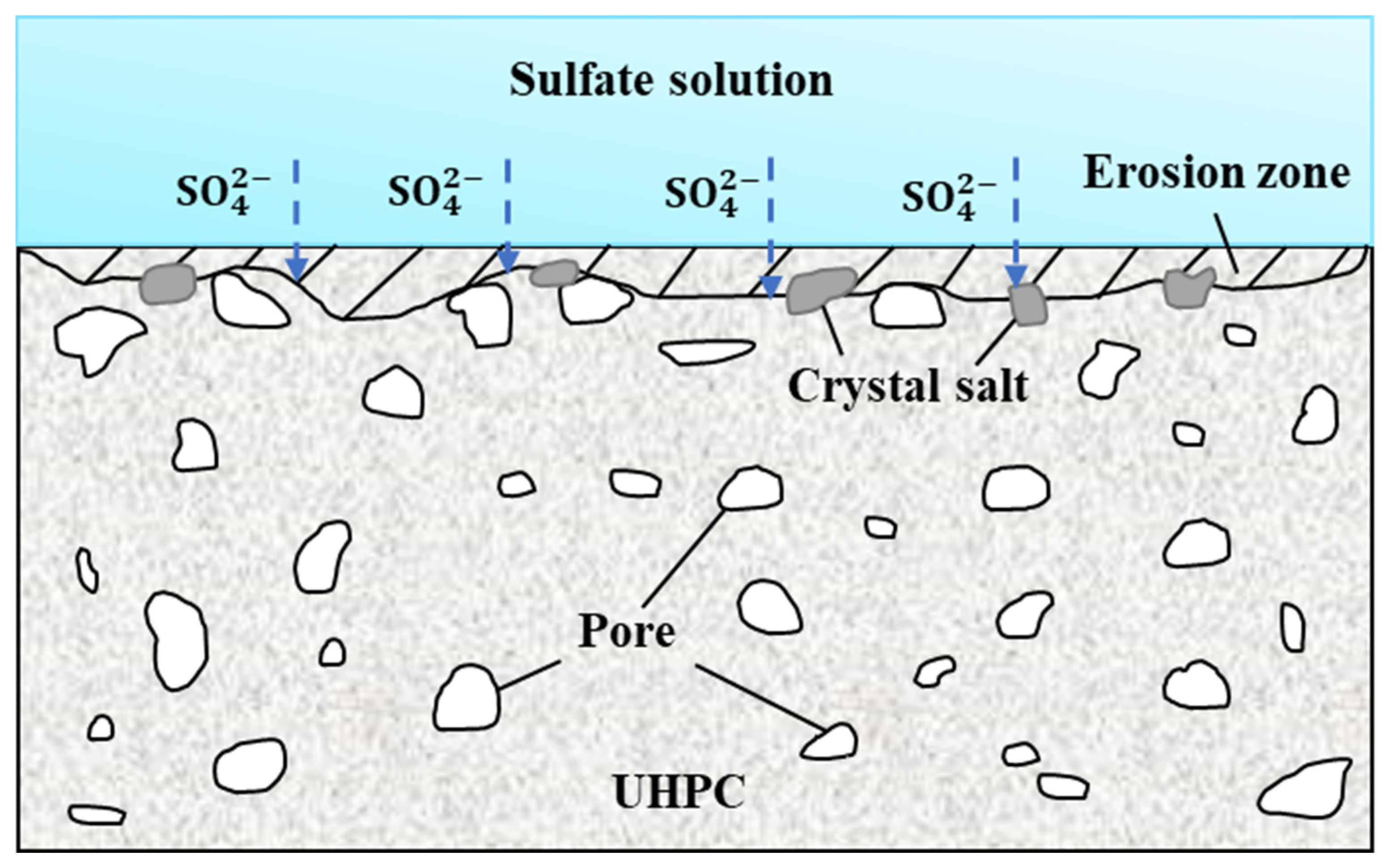 Coatings 14 00274 g024
