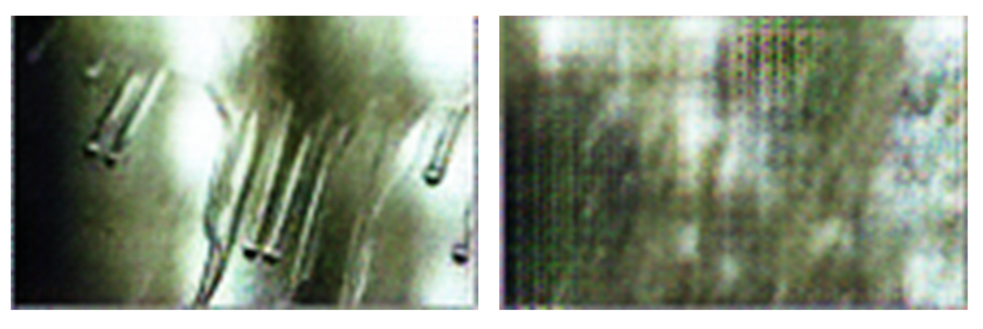 Coatings 14 00288 g005