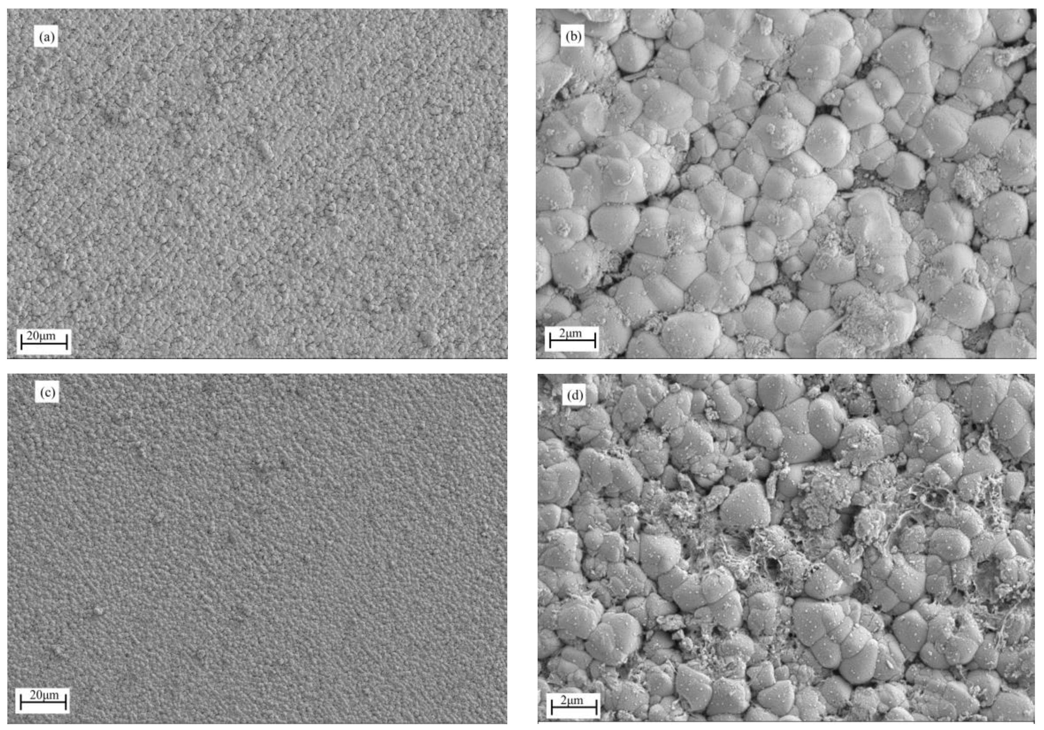 Coatings 14 00294 g008a