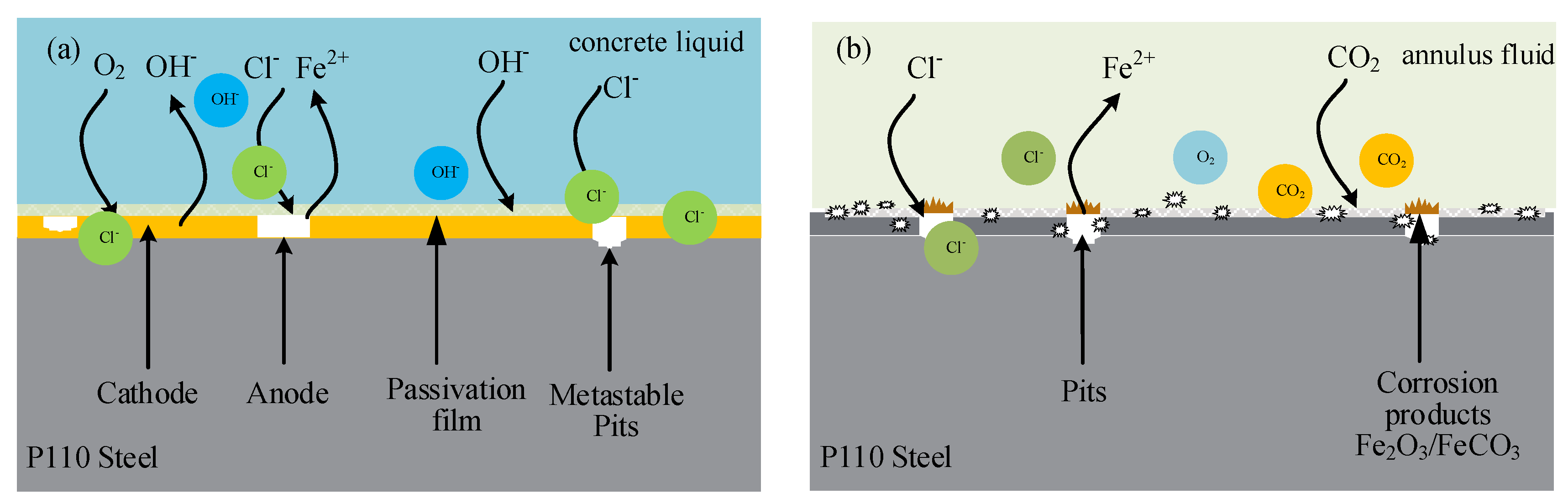 Coatings 14 00294 g010