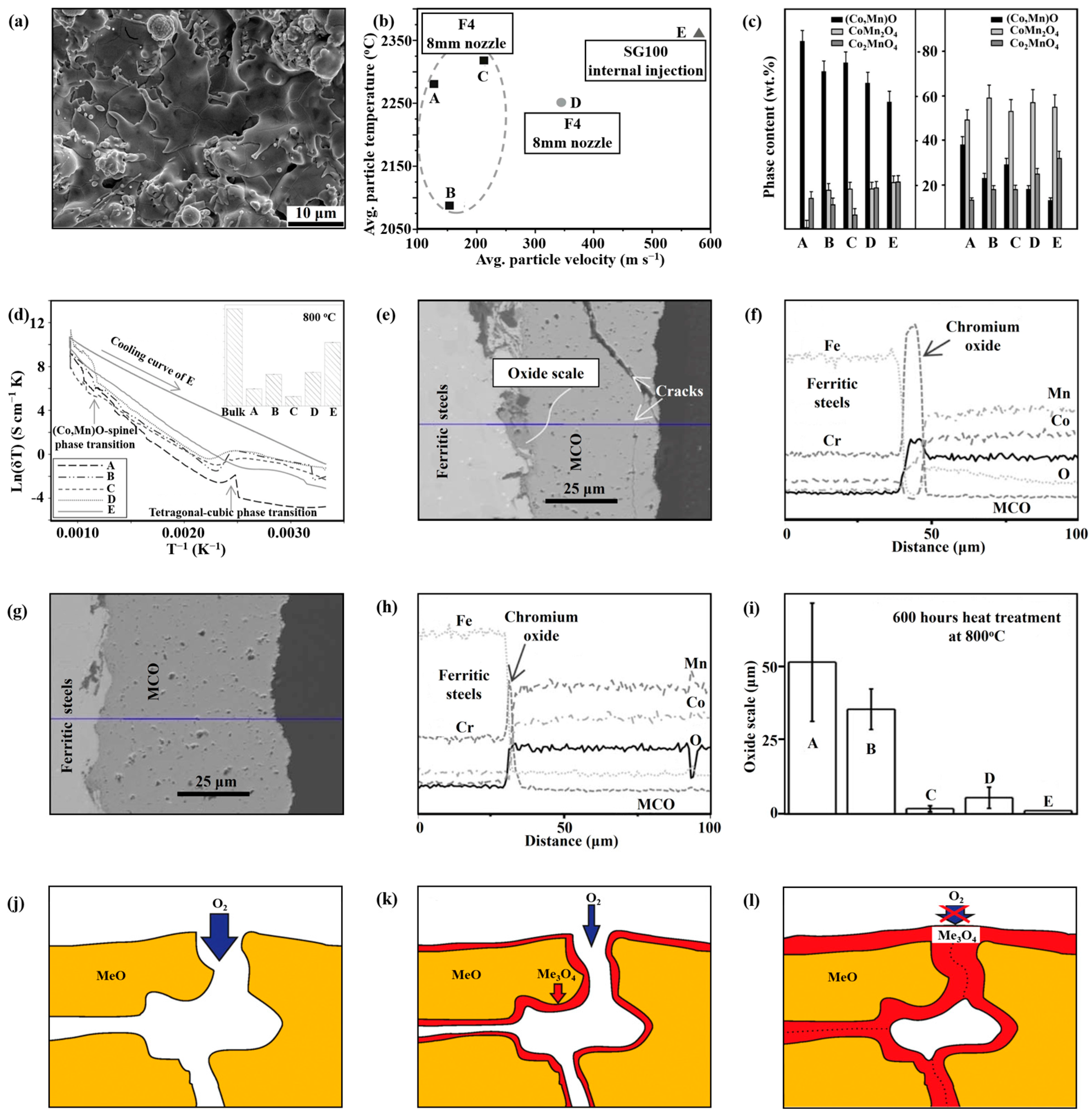 Coatings 14 00307 g004