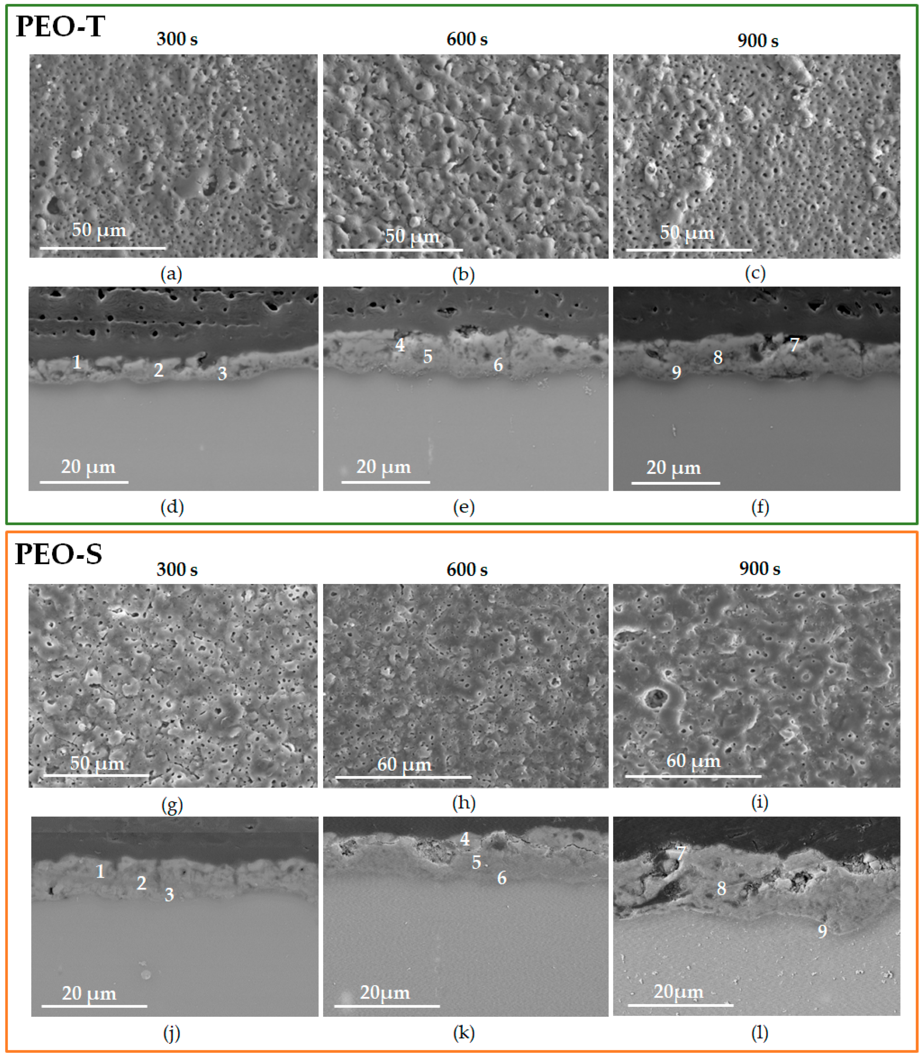 Coatings 14 00309 g003