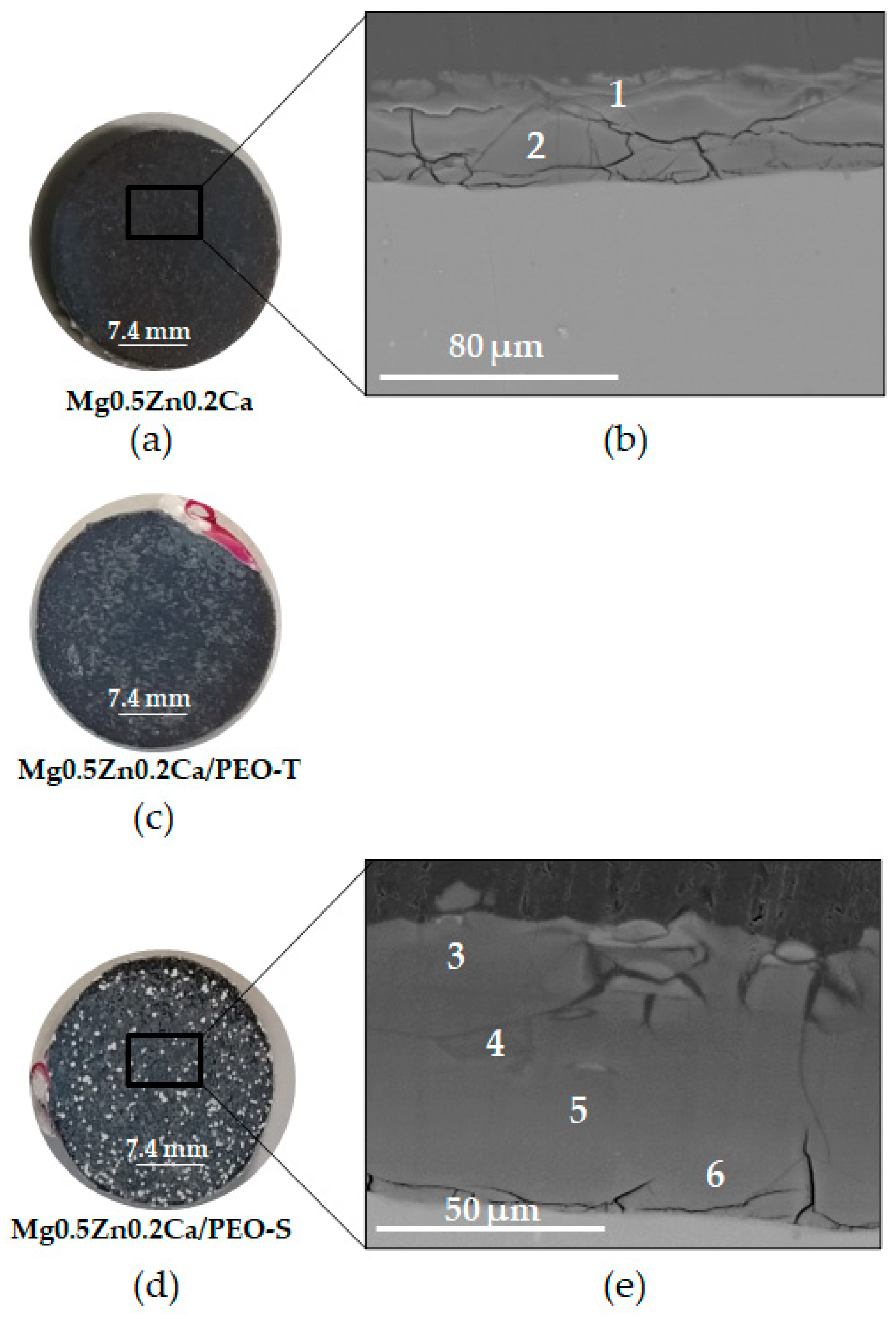 Coatings 14 00309 g009