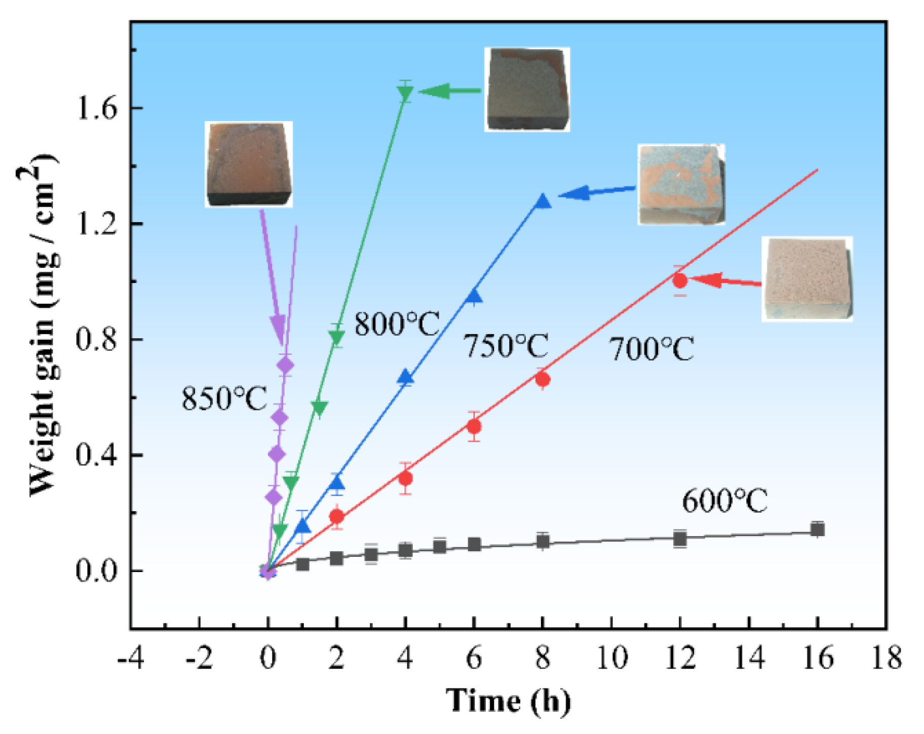 Coatings 14 00314 g001