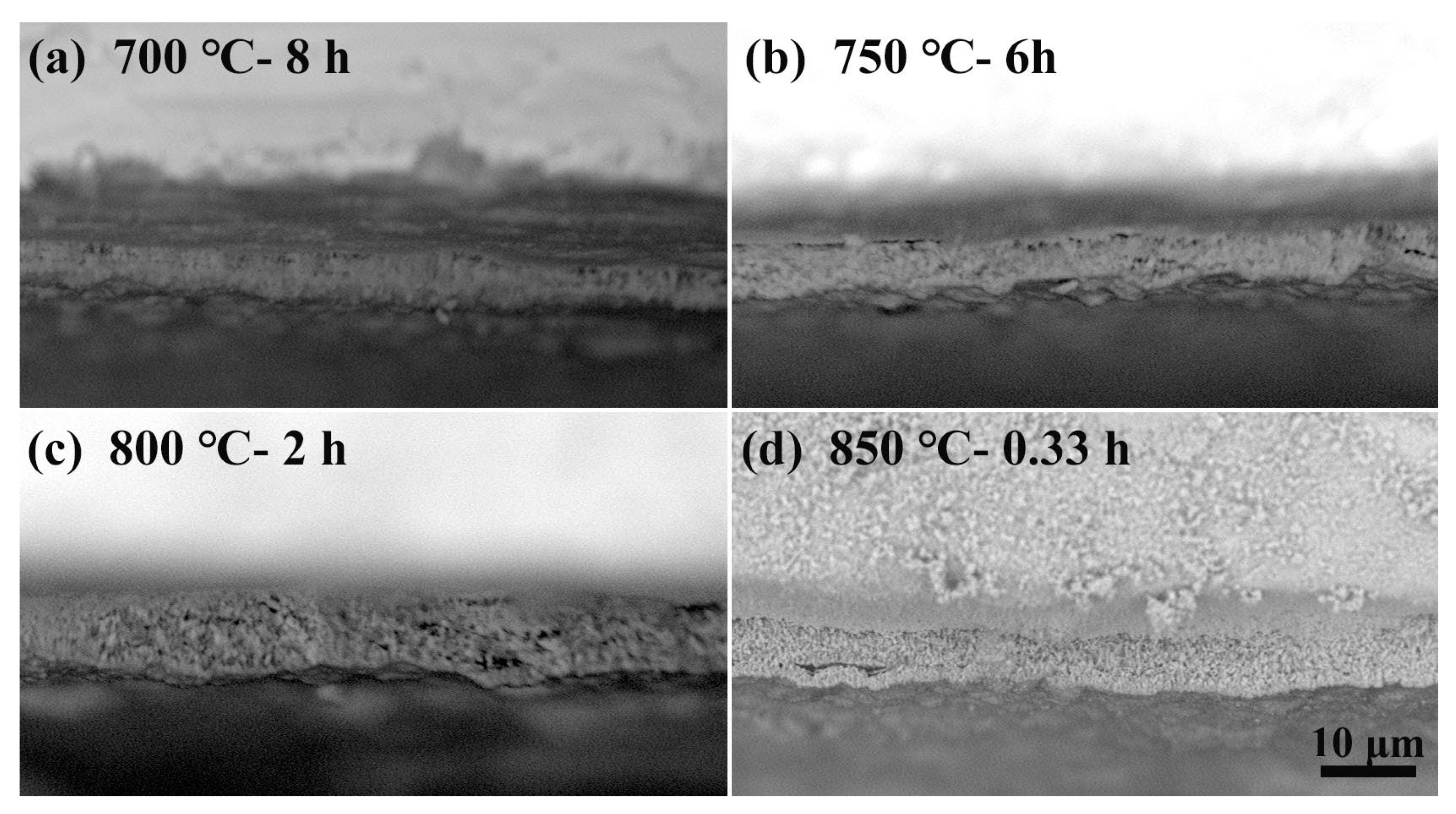 Coatings 14 00314 g002