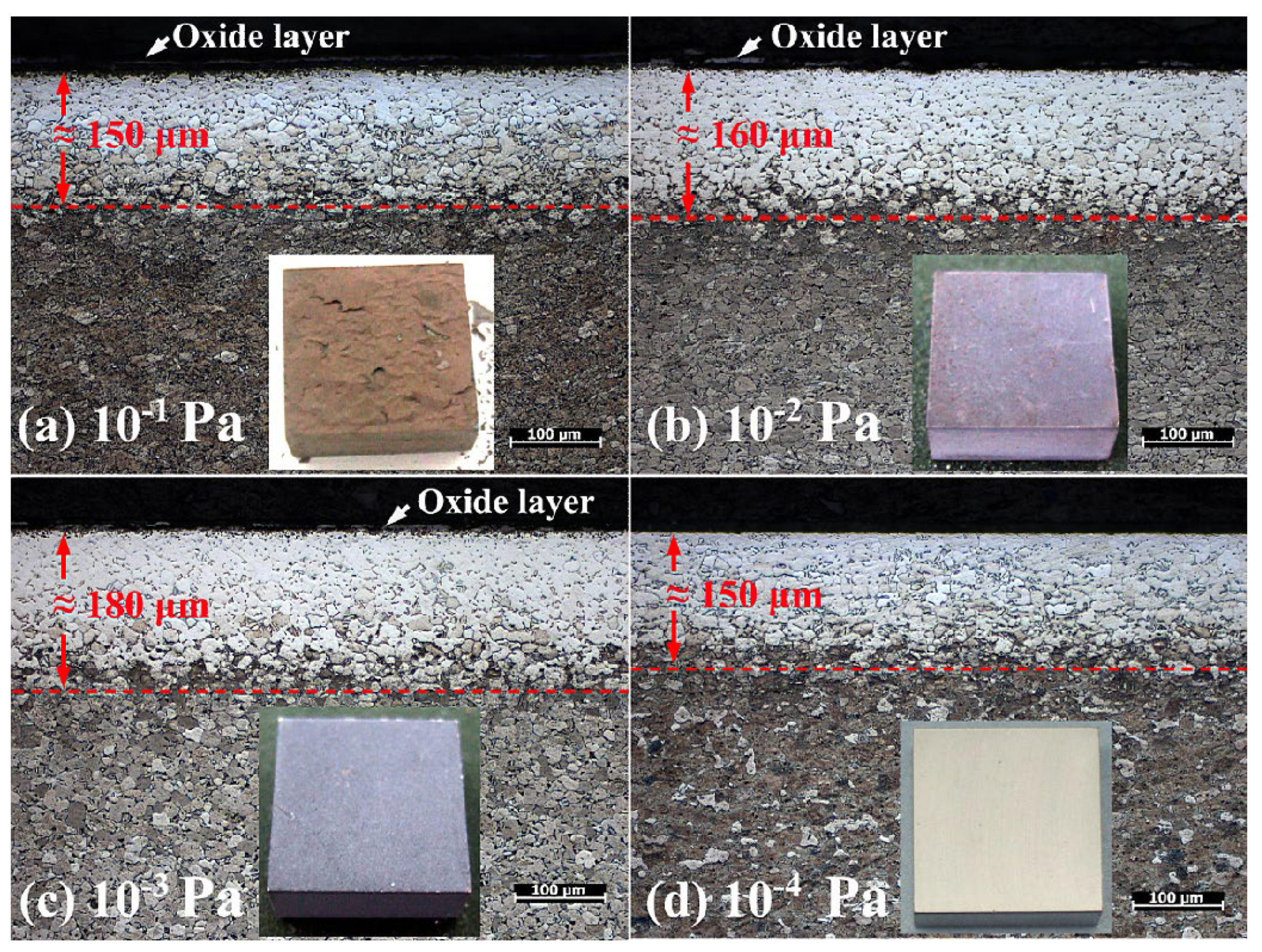 Coatings 14 00314 g007