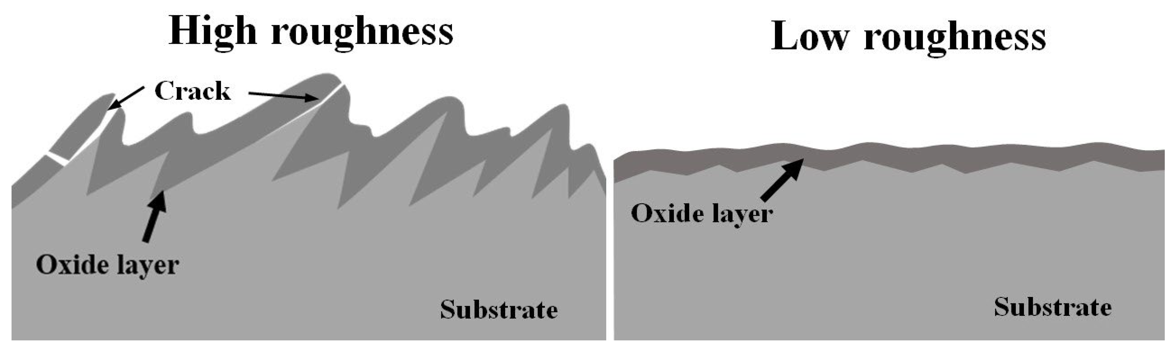 Coatings 14 00314 g014