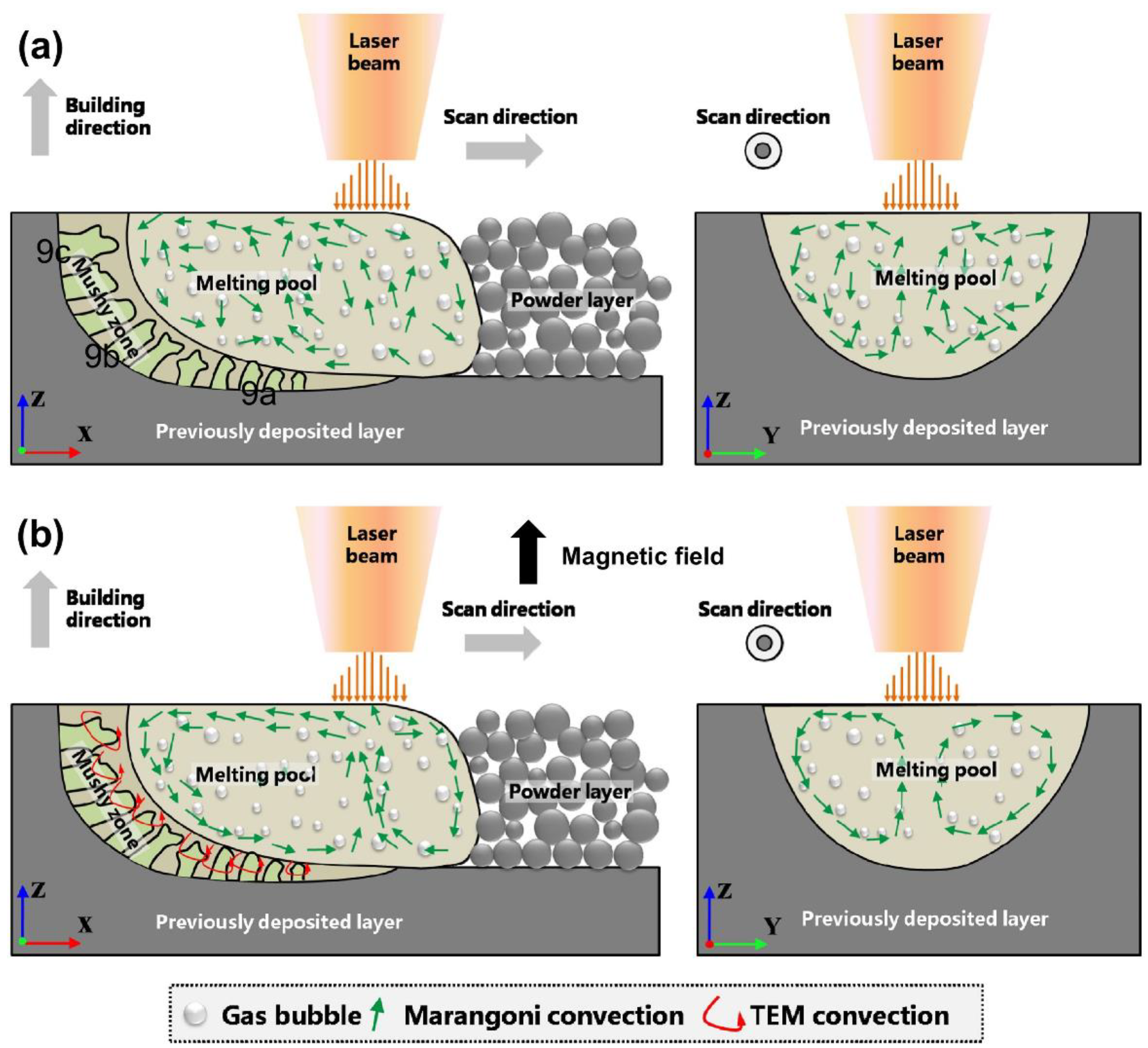 Coatings 14 00315 g014