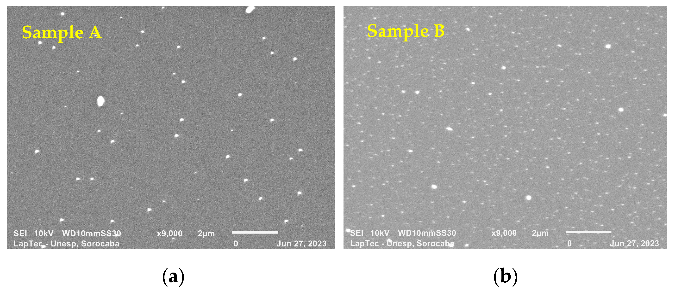 Coatings 14 00322 g003a