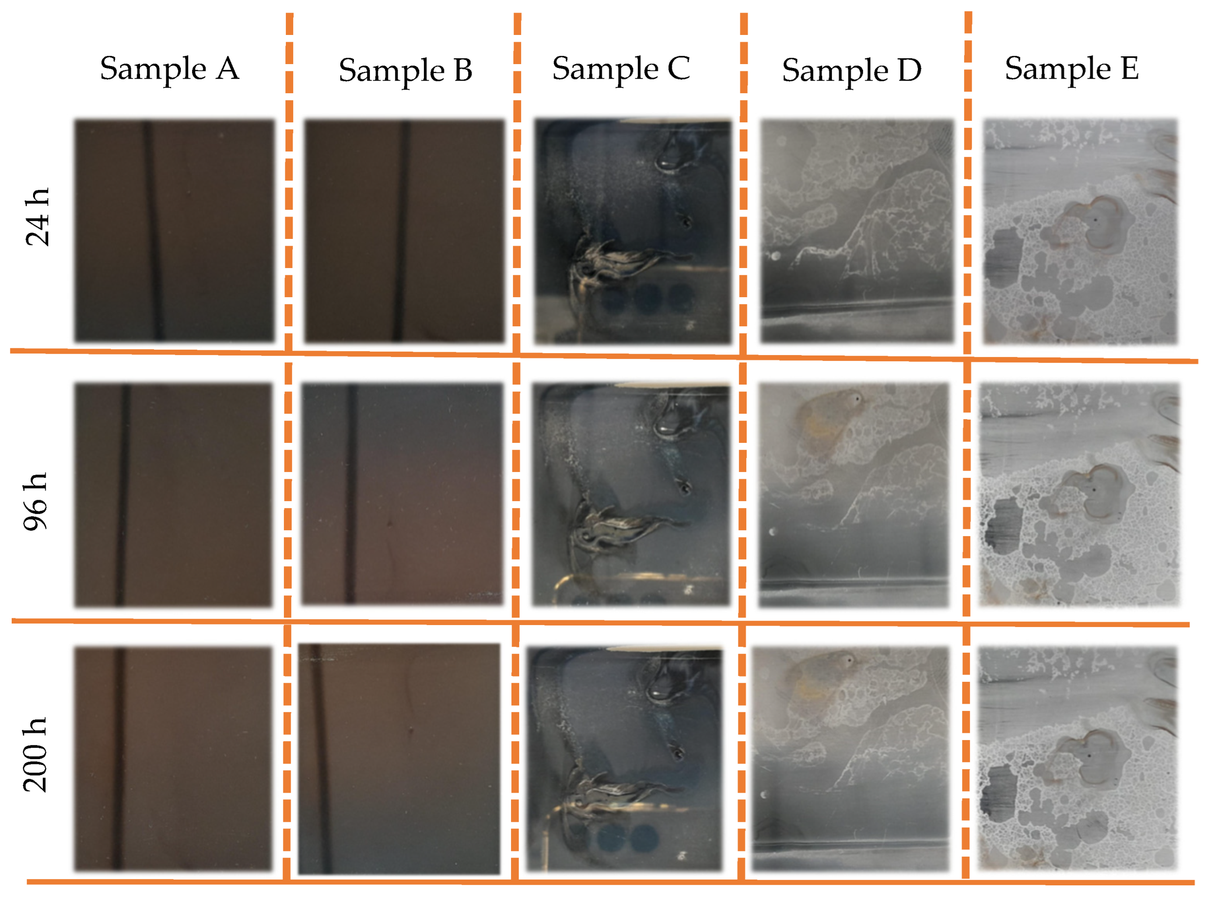 Coatings 14 00322 g008