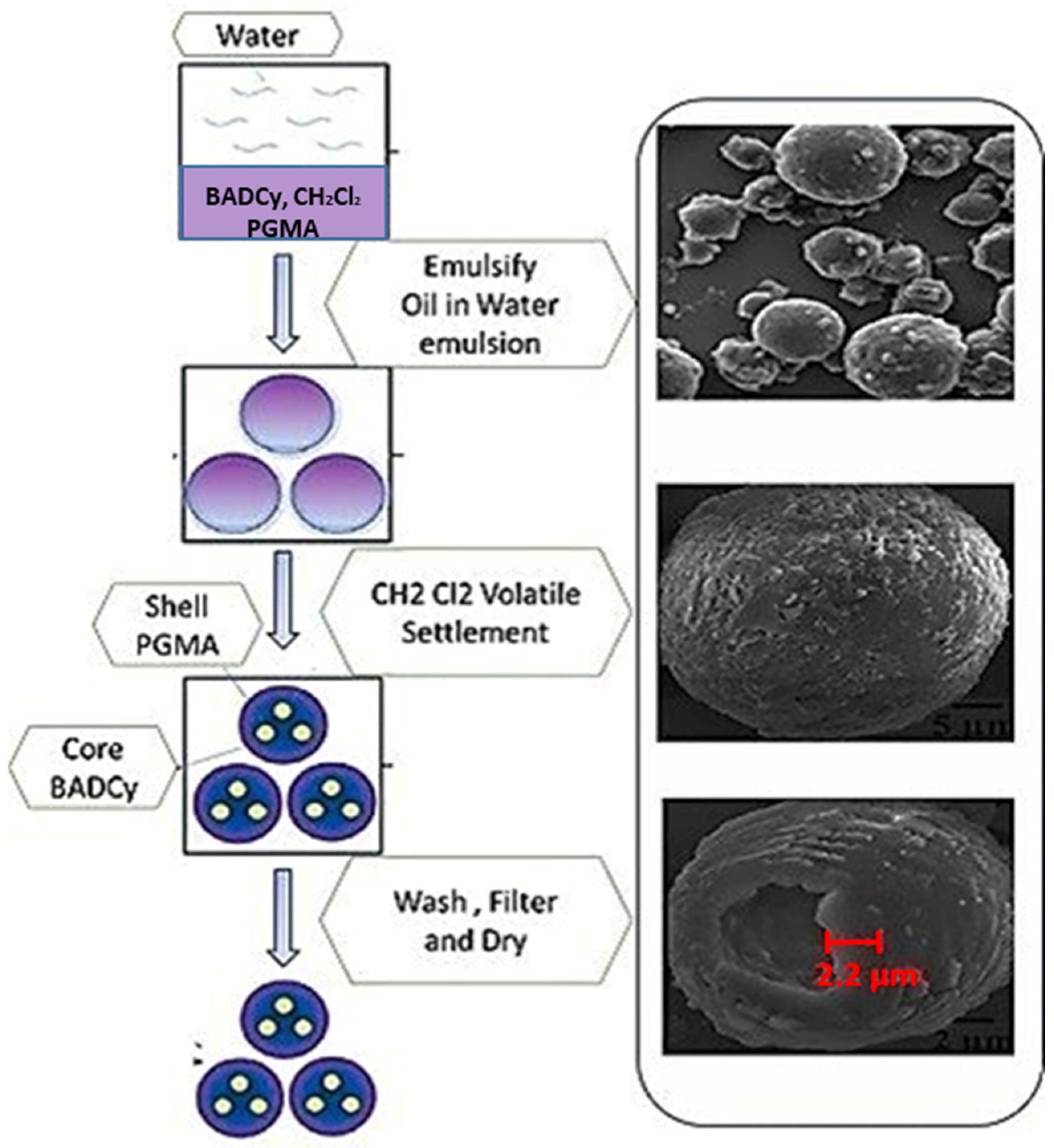 Coatings 14 00324 g005