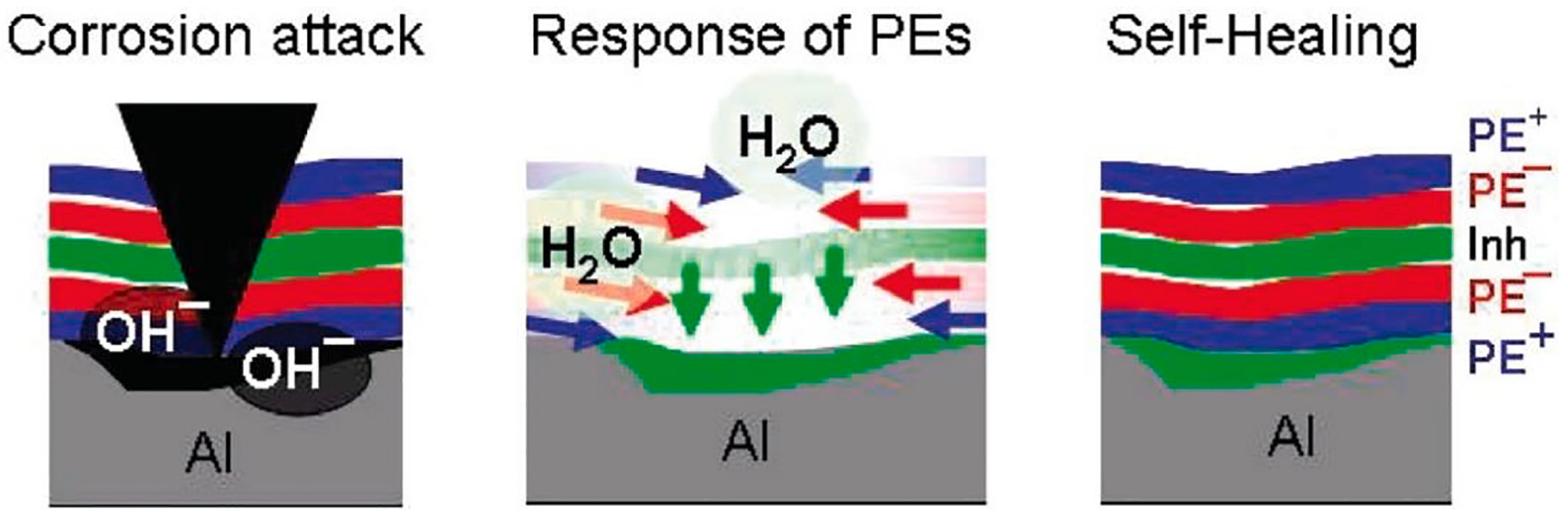 Coatings 14 00324 g006