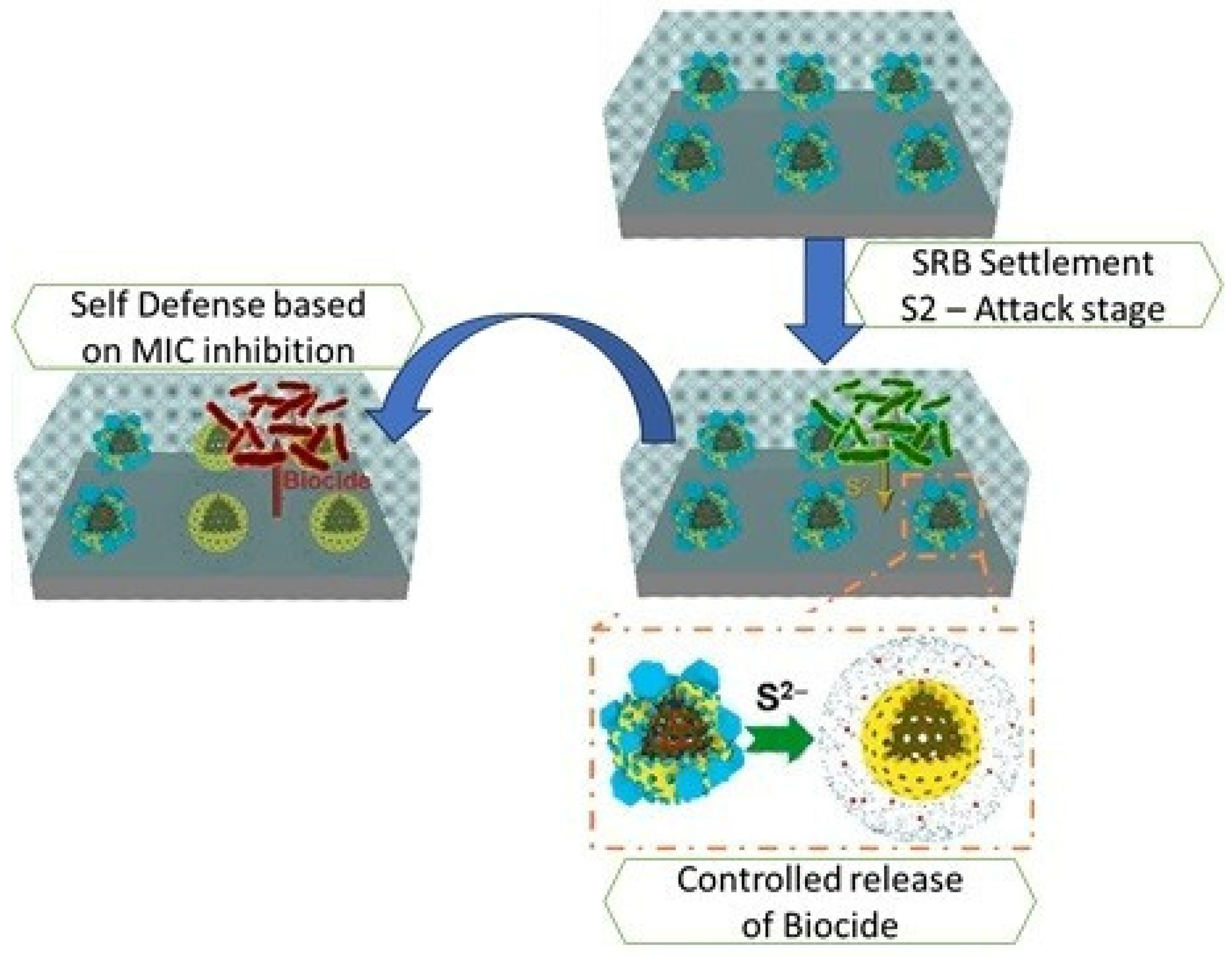 Coatings 14 00324 g007