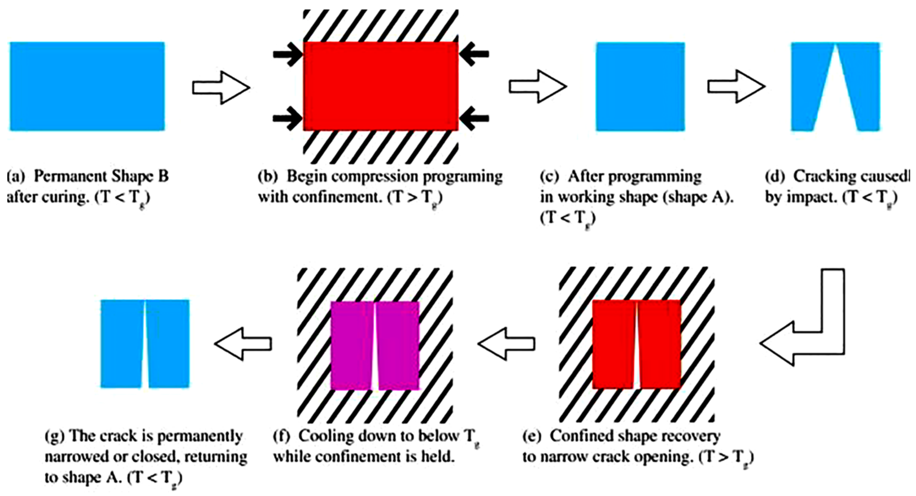 Coatings 14 00324 g012