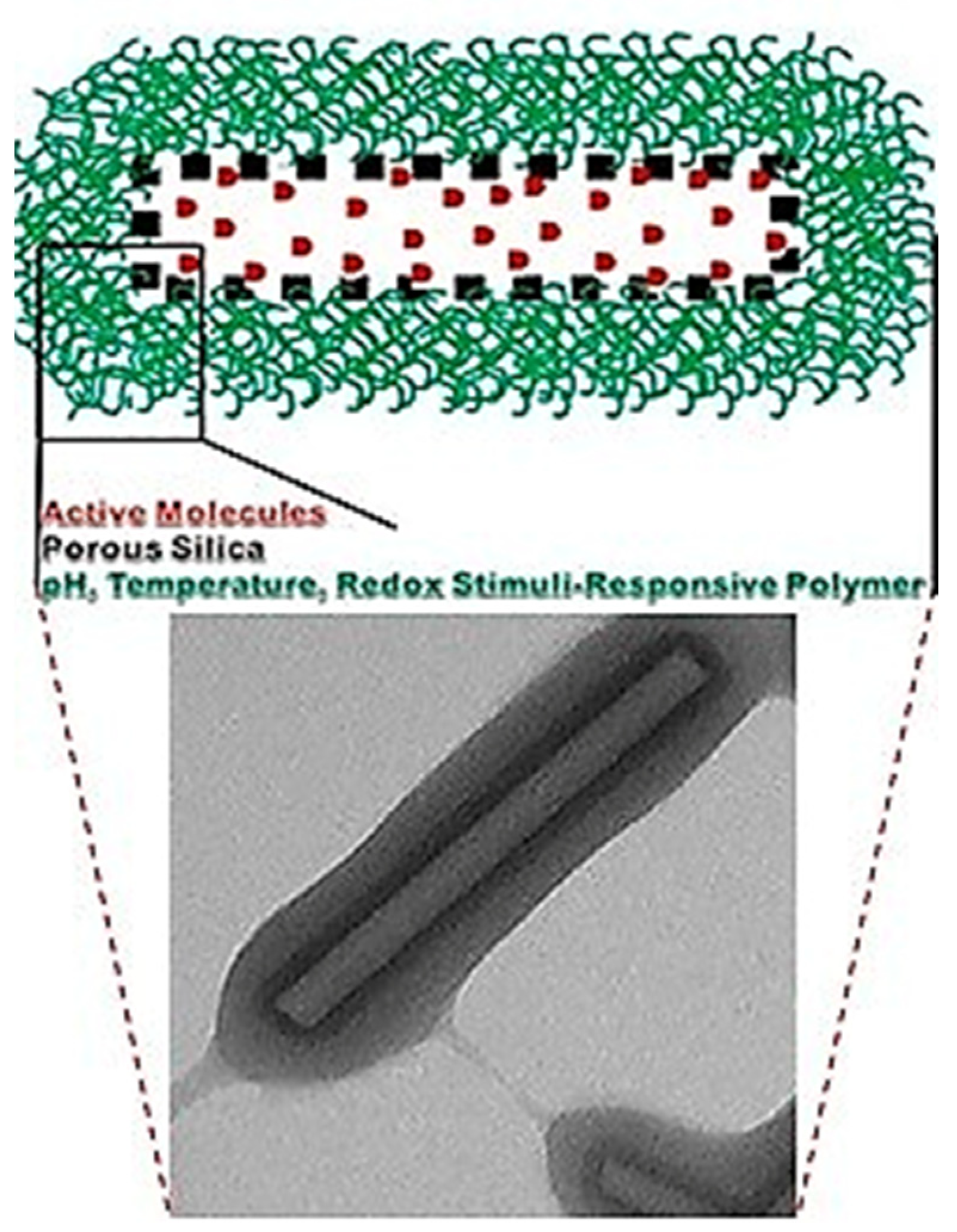Coatings 14 00324 g014