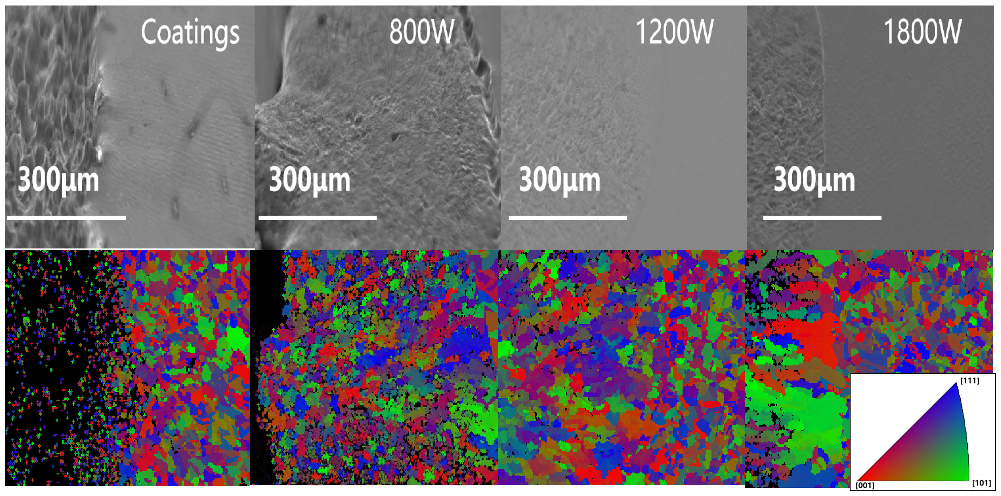 Coatings 14 00325 g002