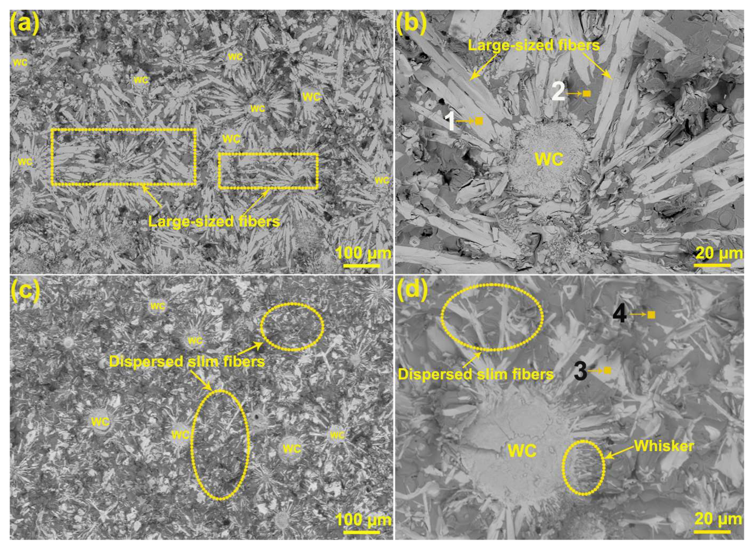 Coatings 14 00339 g004