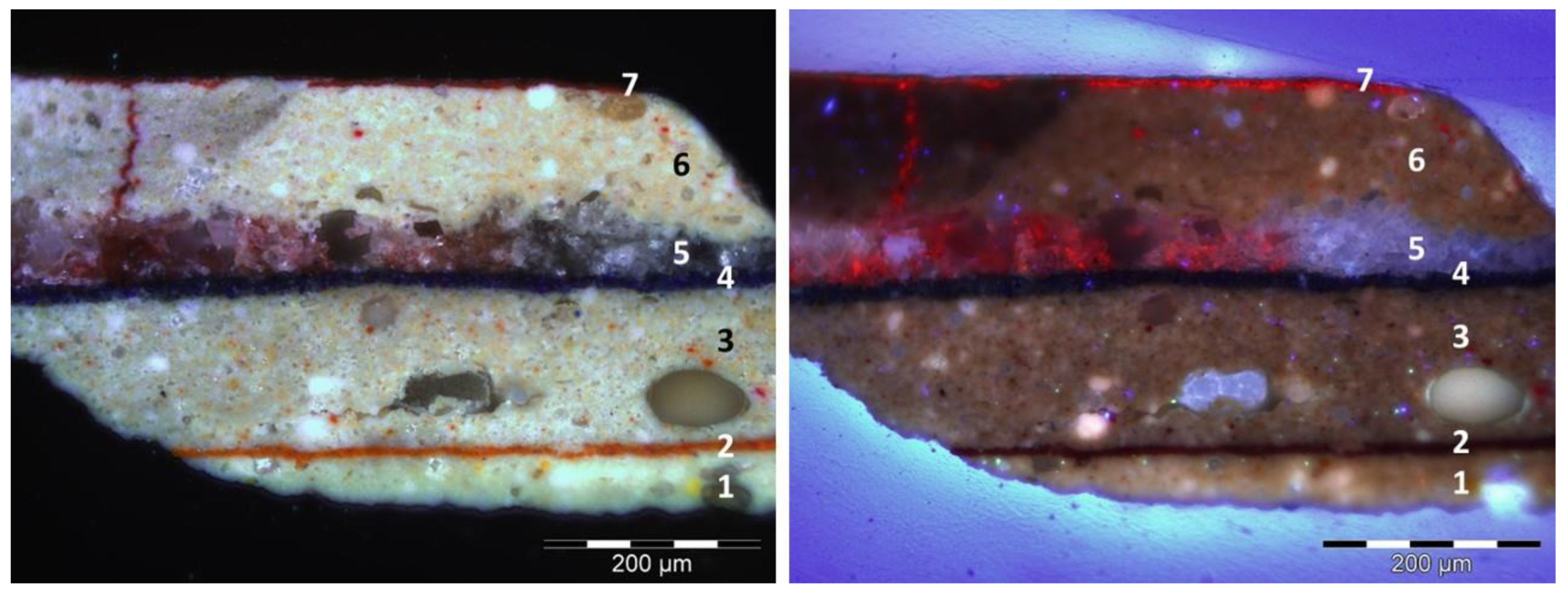 Coatings 14 00344 g003