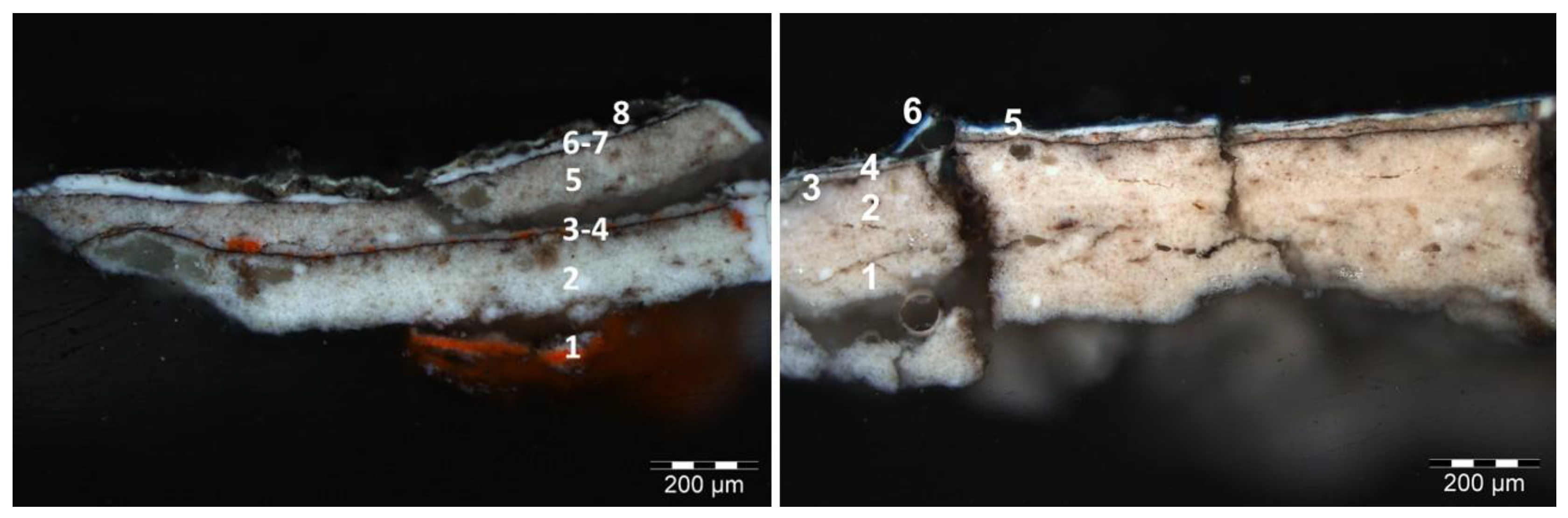 Coatings 14 00344 g005