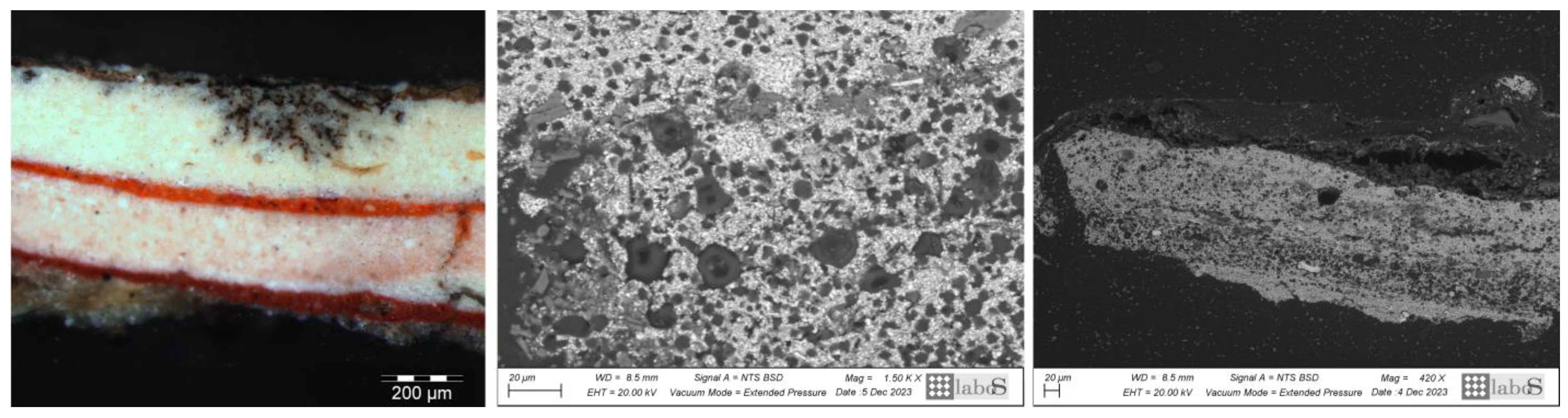 Coatings 14 00344 g008