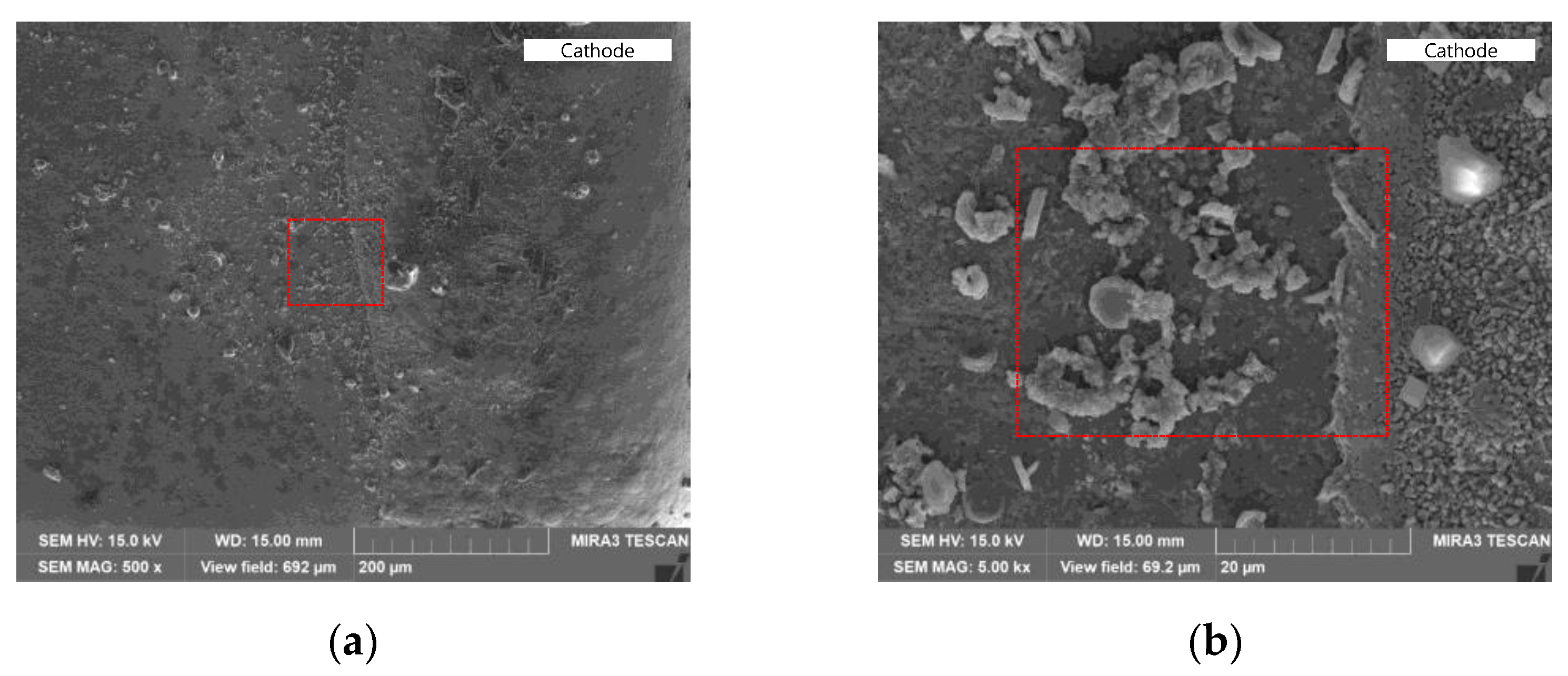 Coatings 14 00359 g003