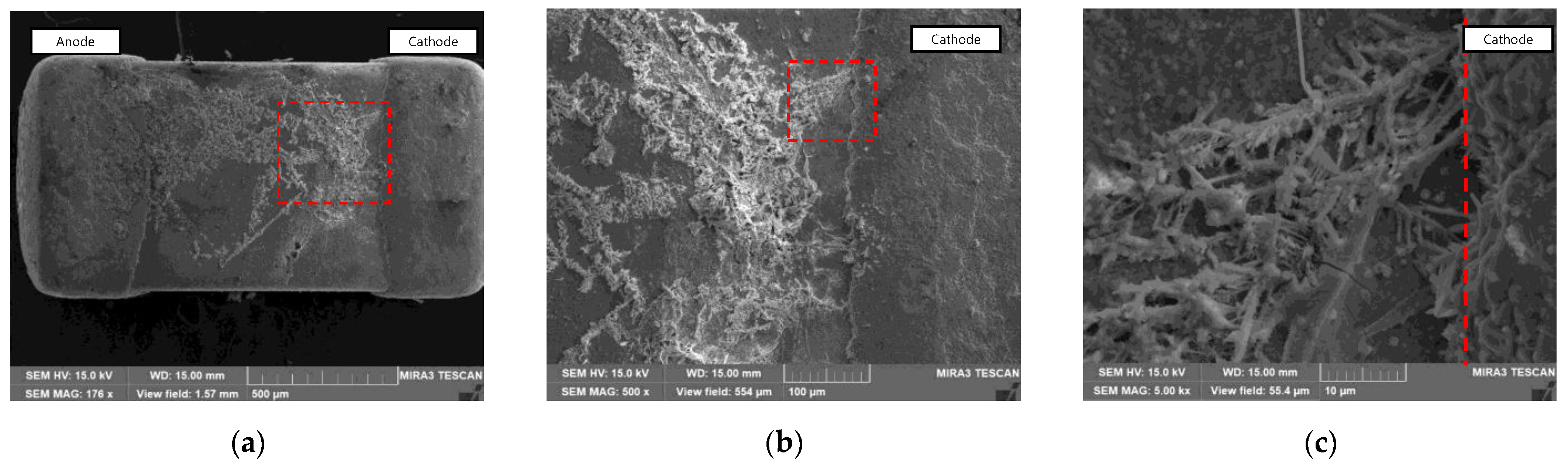 Coatings 14 00359 g012
