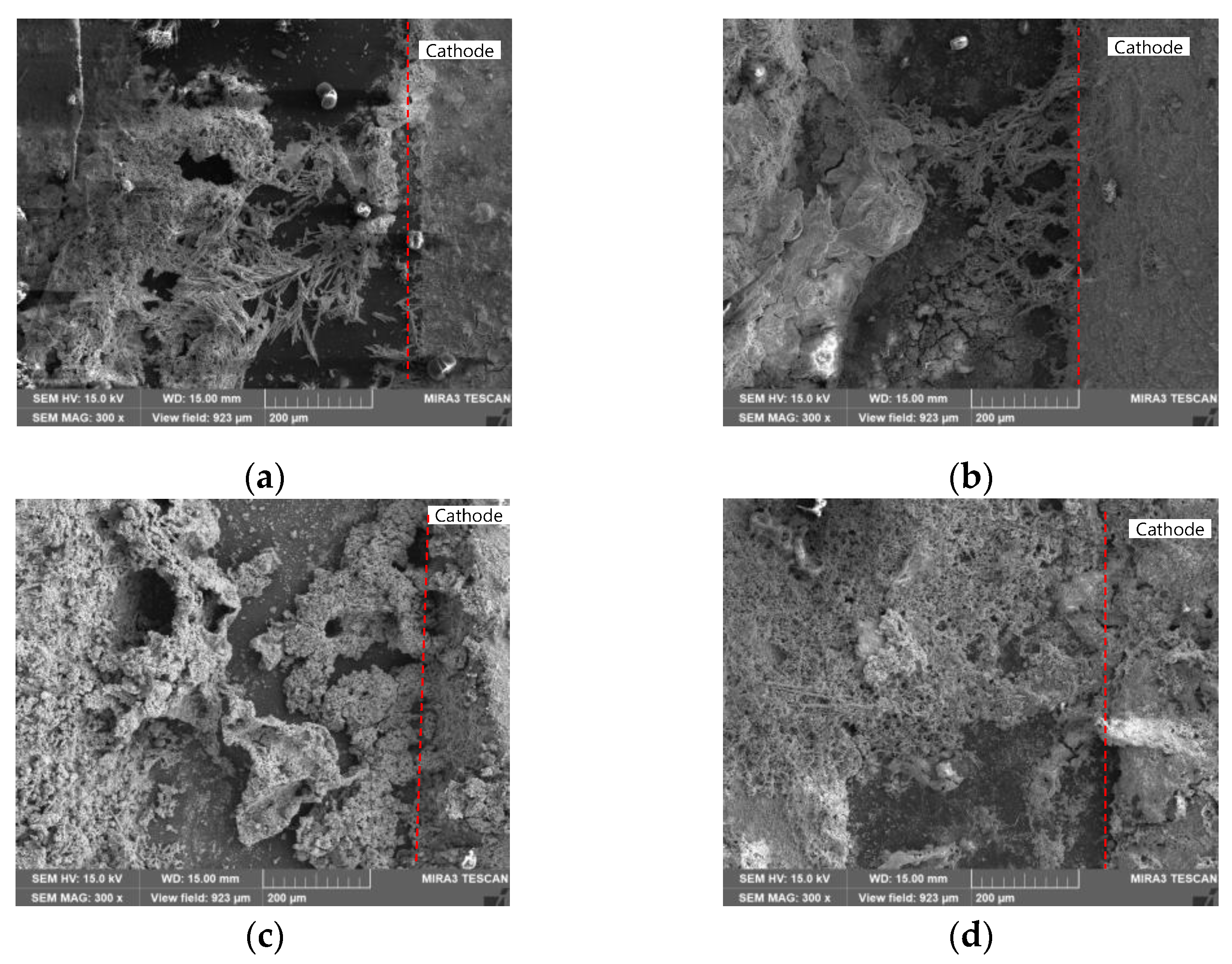 Coatings 14 00359 g015