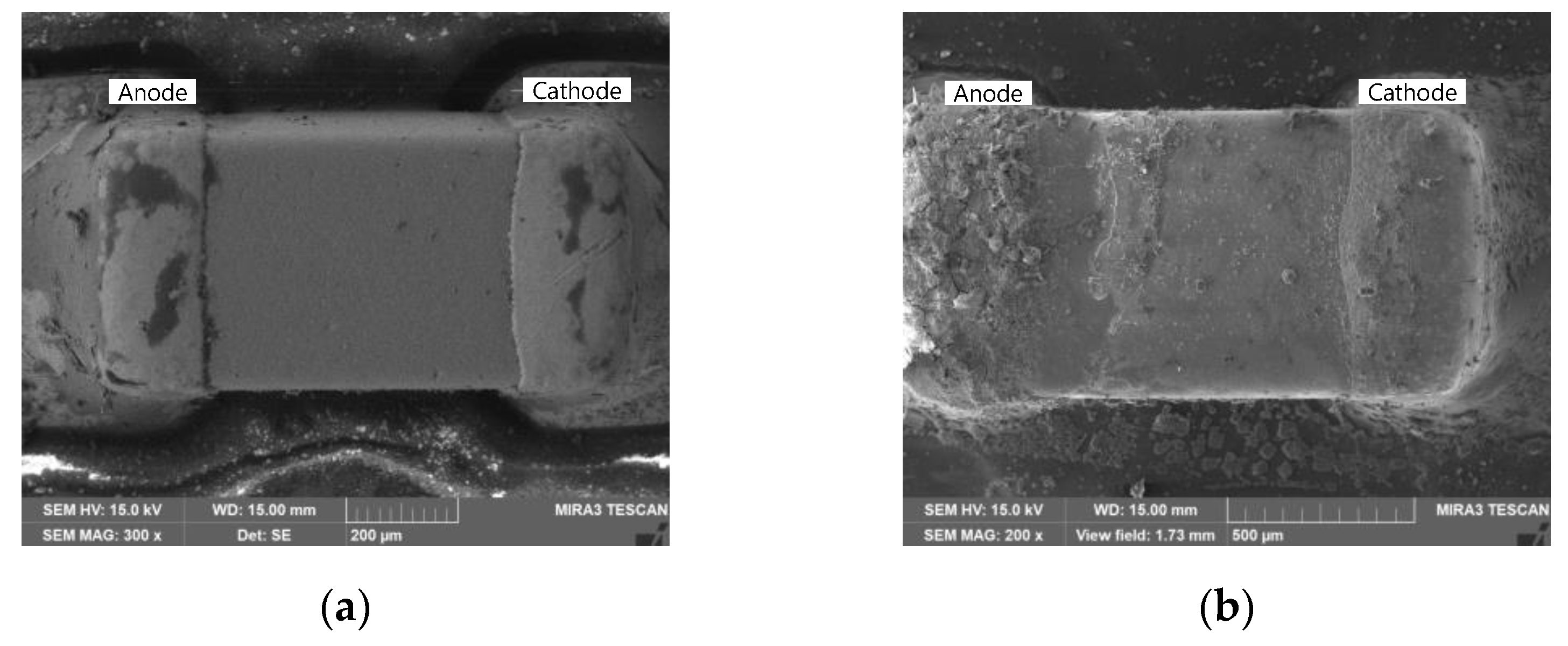 Coatings 14 00359 g020