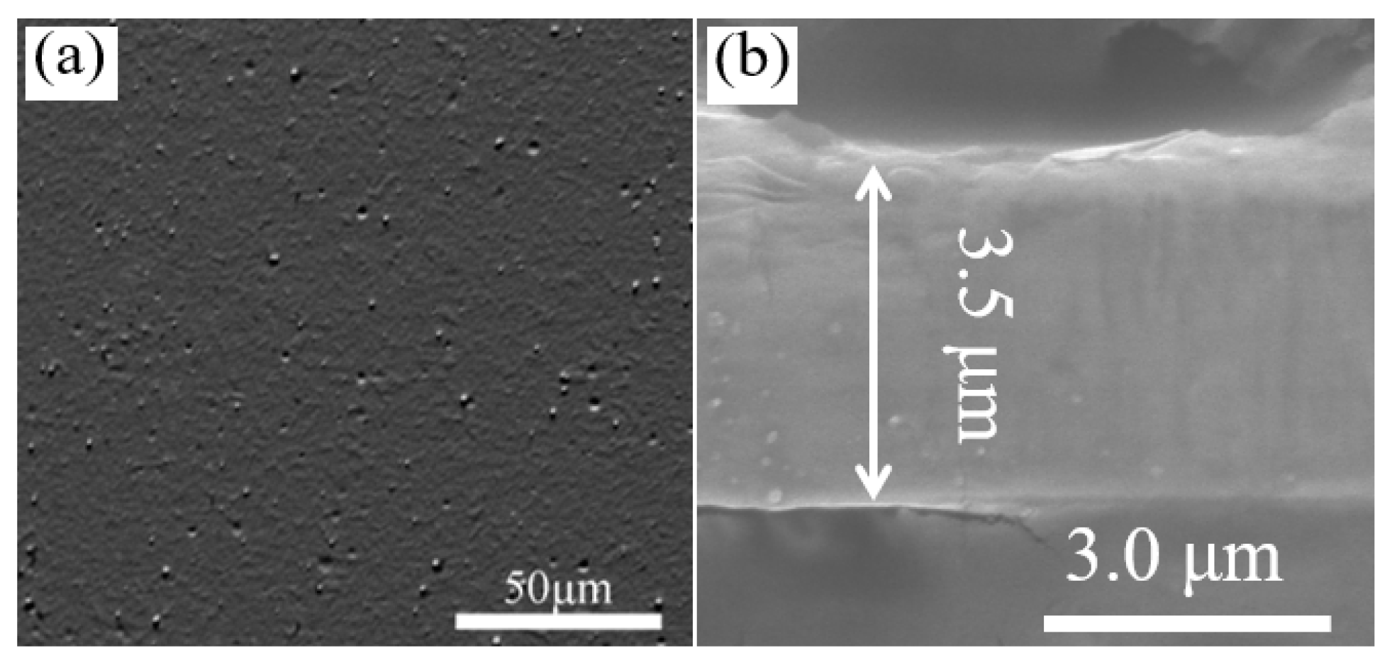 Coatings 14 00367 g002 Coatings 14 00367 g002