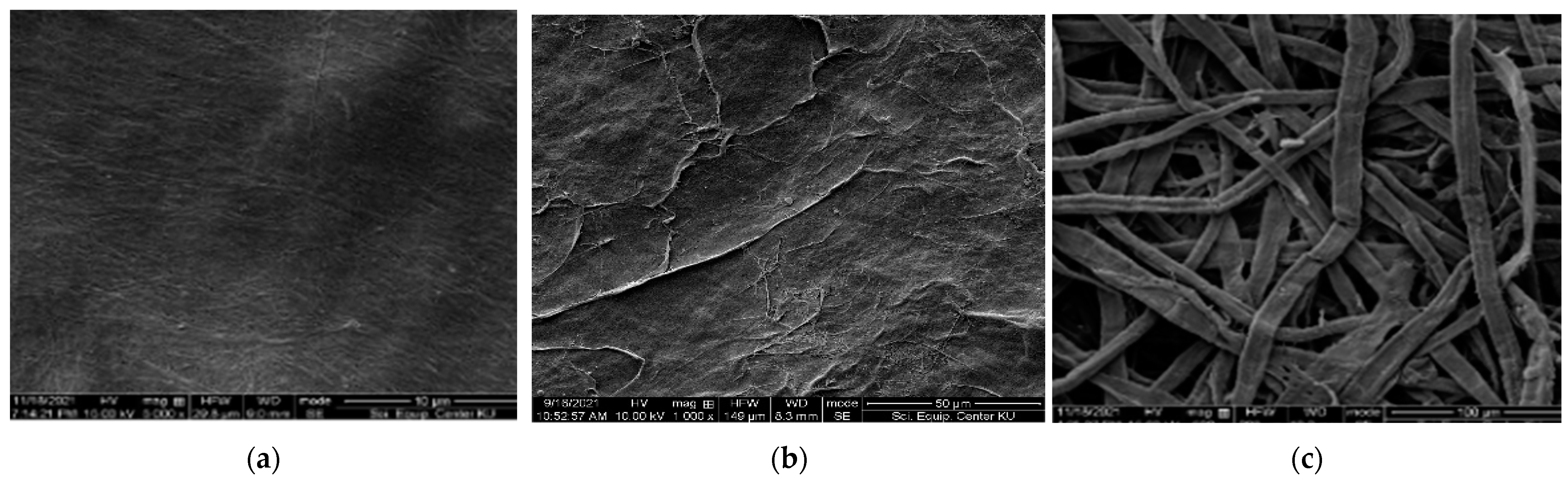 Coatings 14 00379 g001