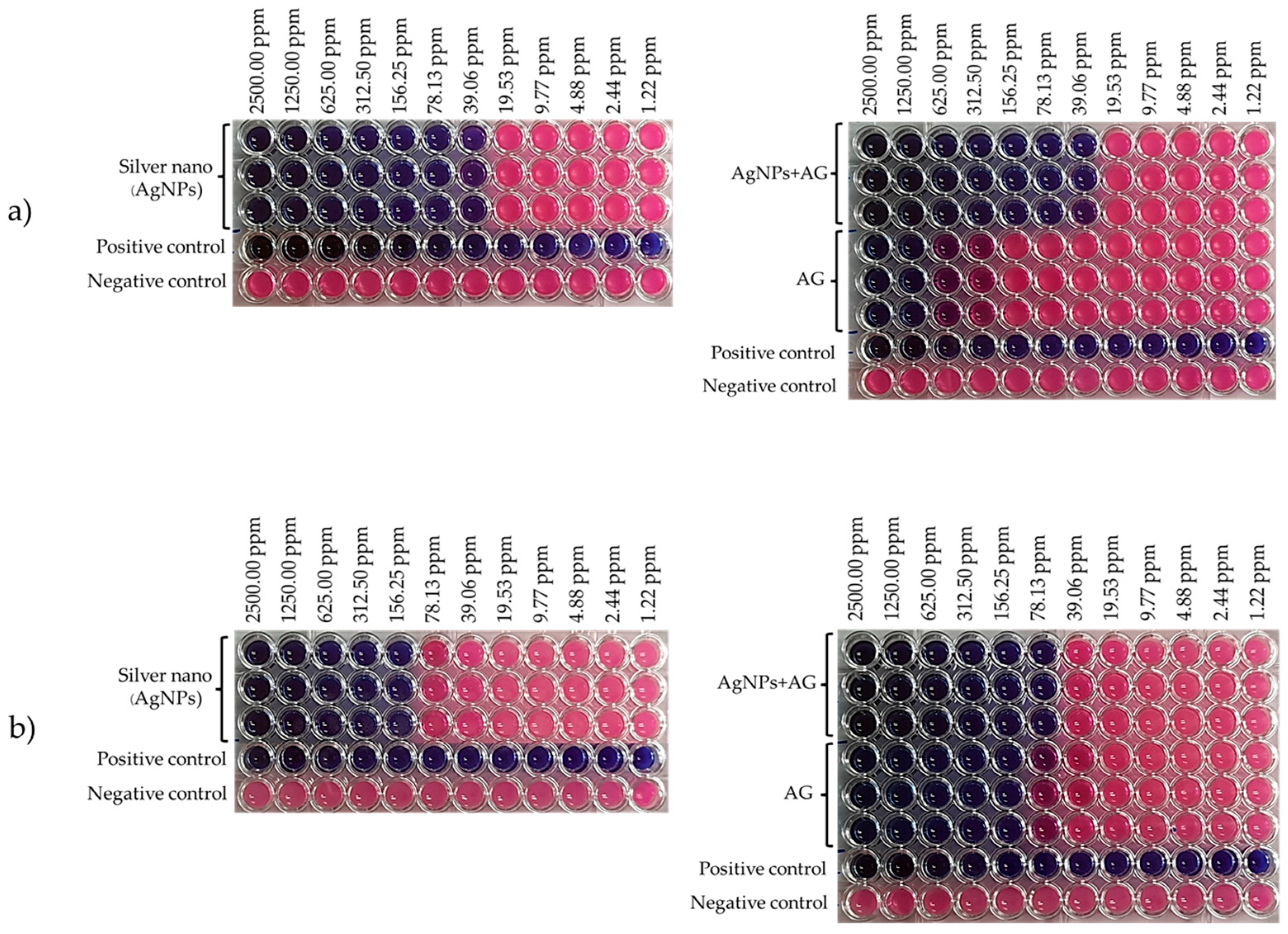 Coatings 14 00379 g002