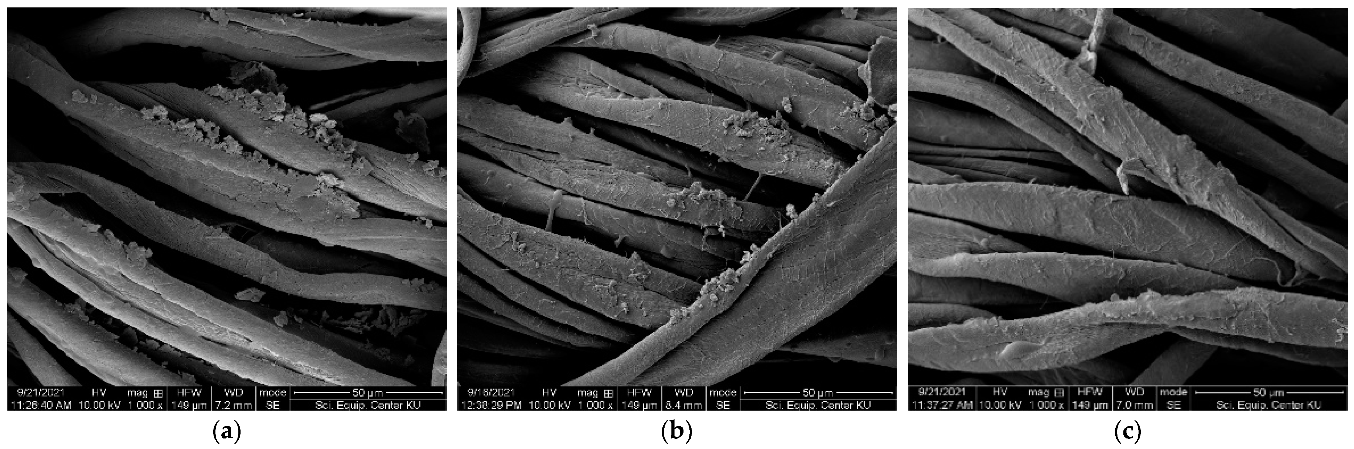 Coatings 14 00379 g003