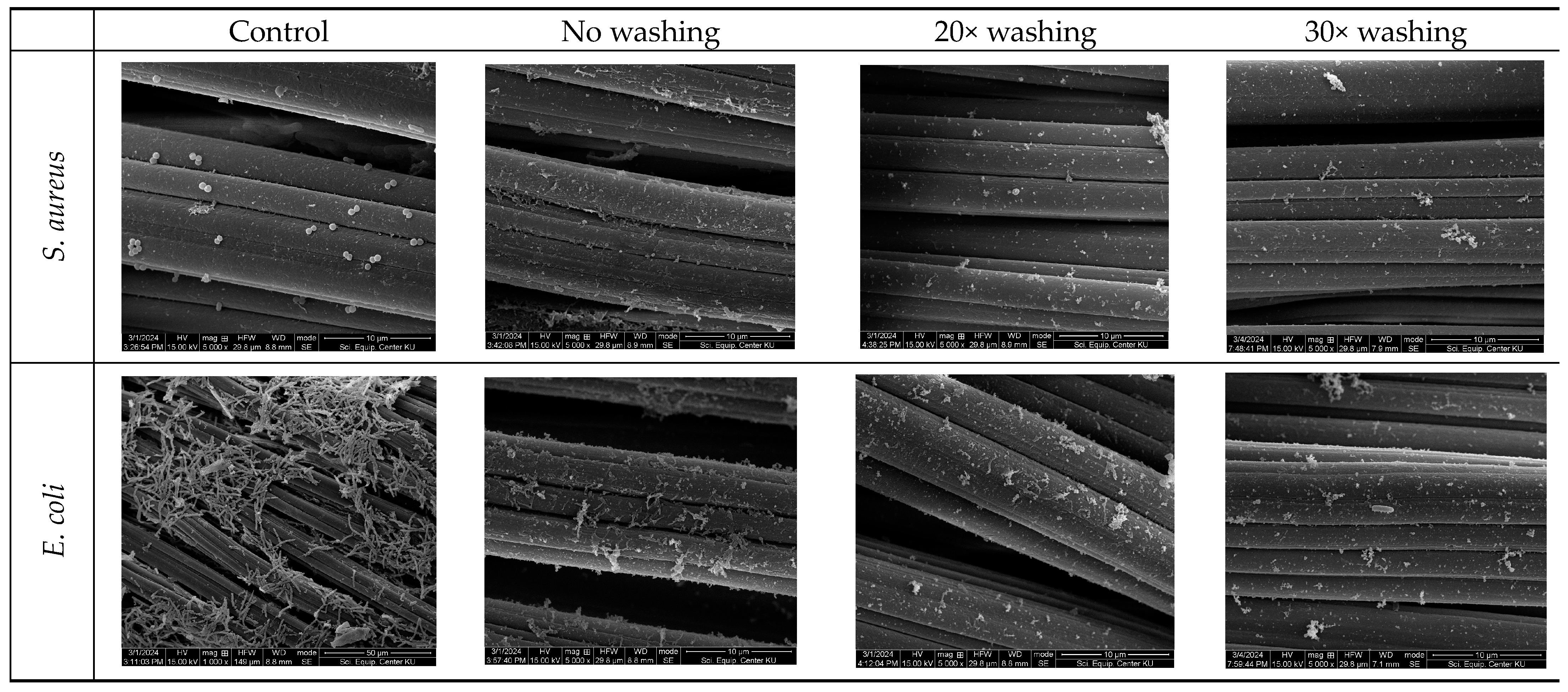 Coatings 14 00379 g004