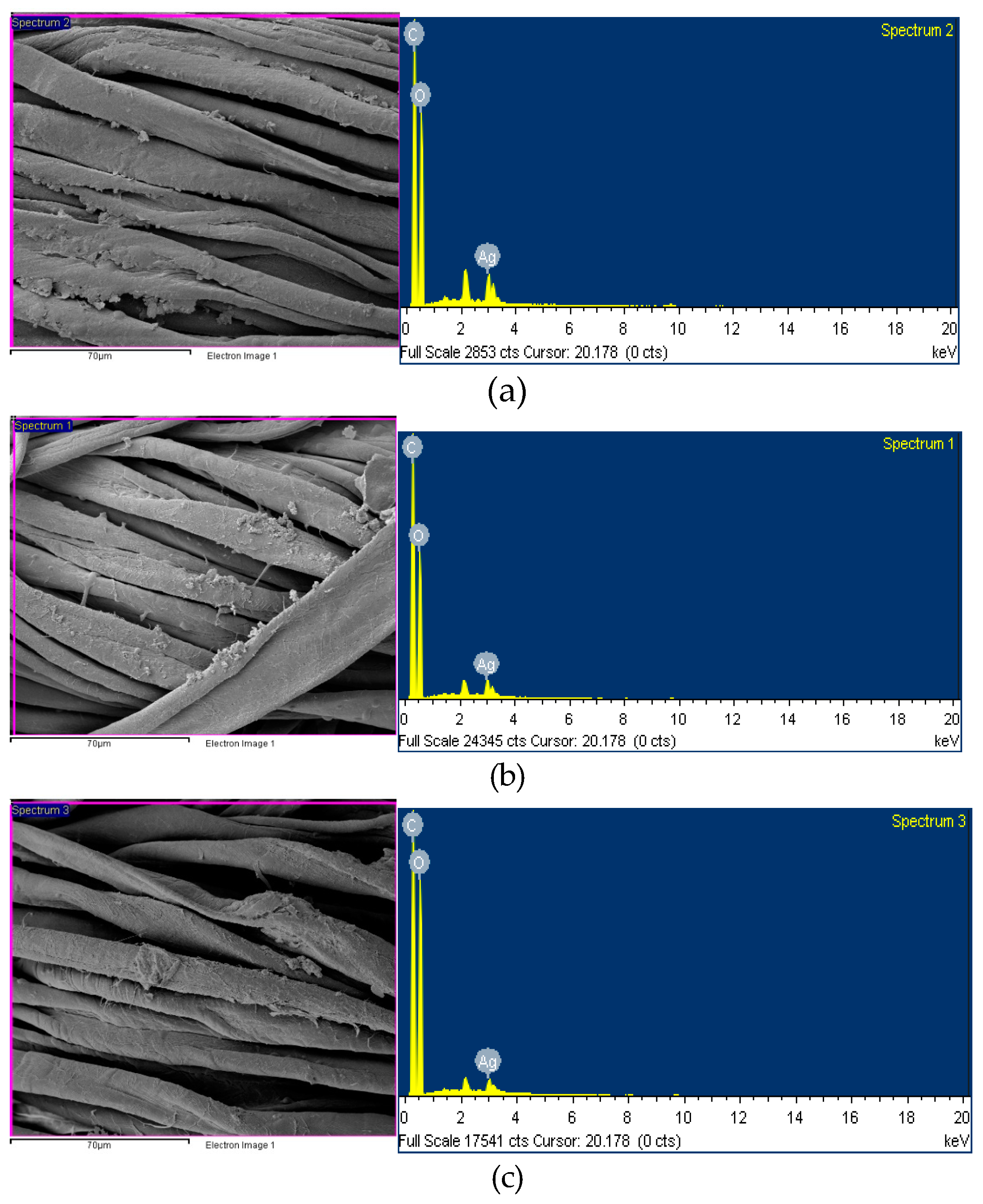 Coatings 14 00379 g005