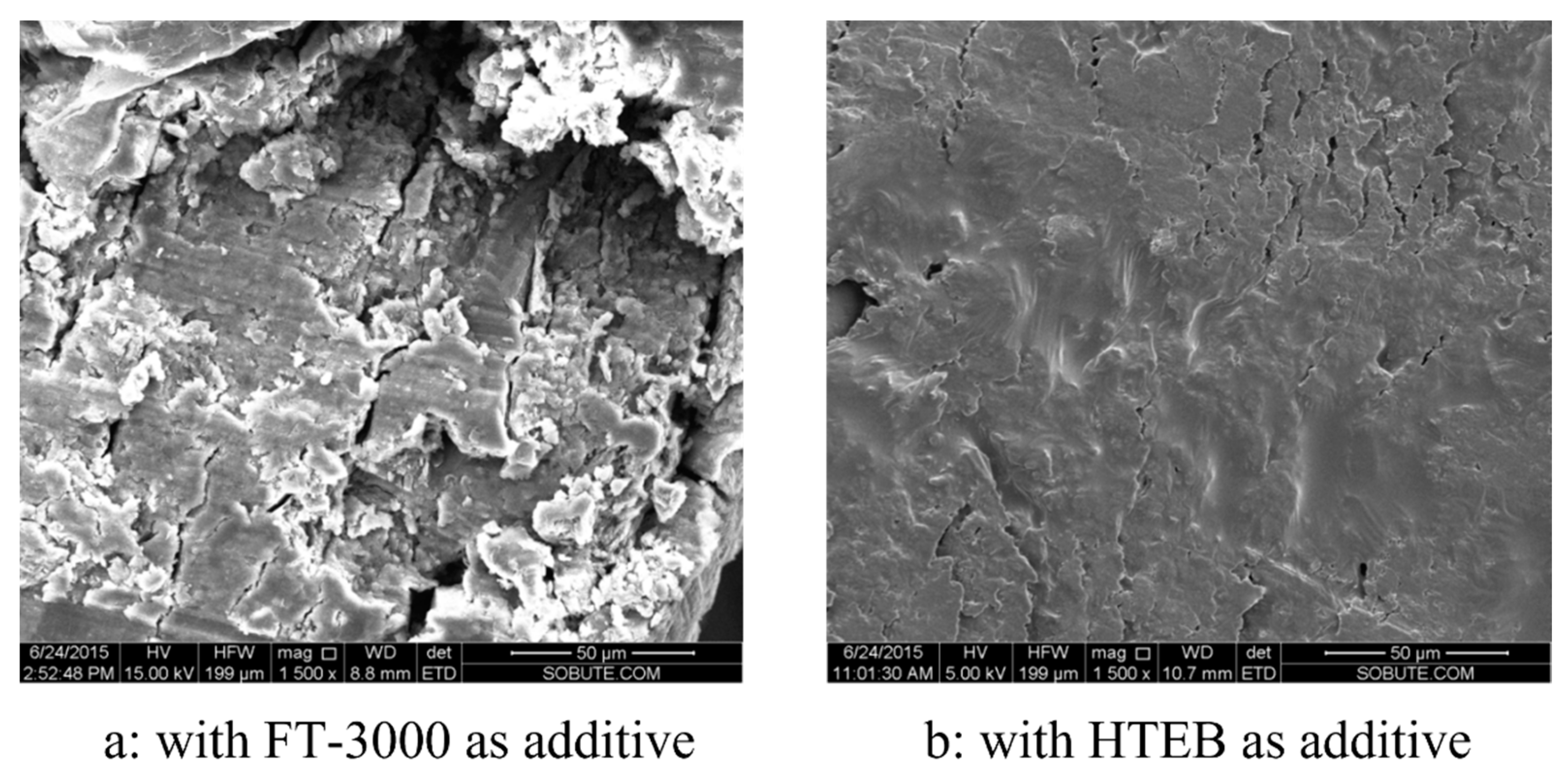 Coatings 14 00387 g005