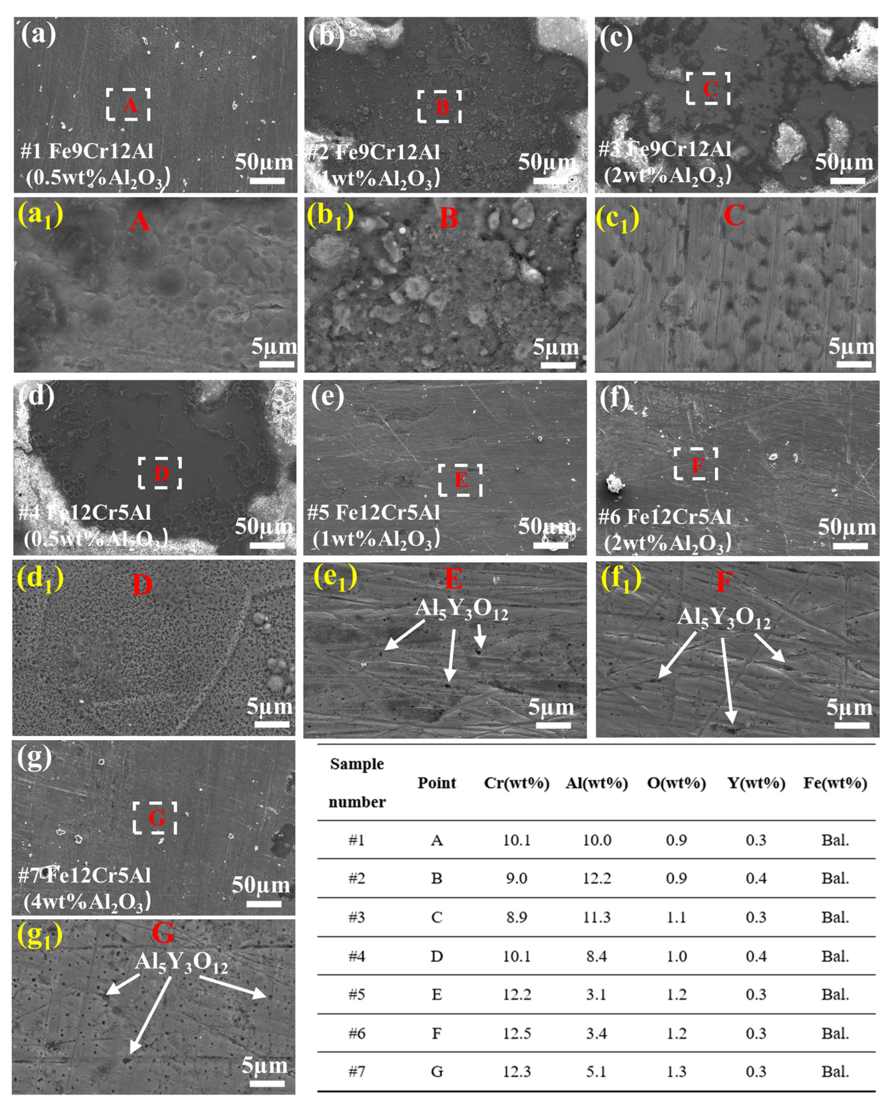 Coatings 14 00393 g003