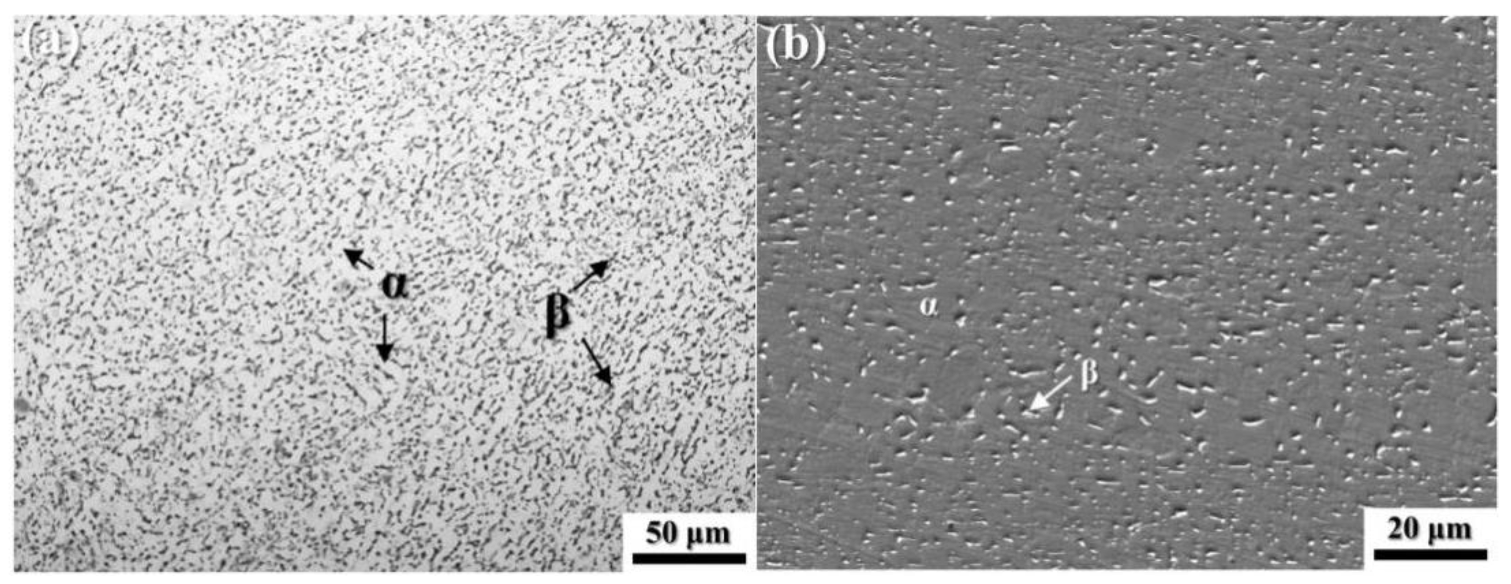 Coatings 14 00395 g006
